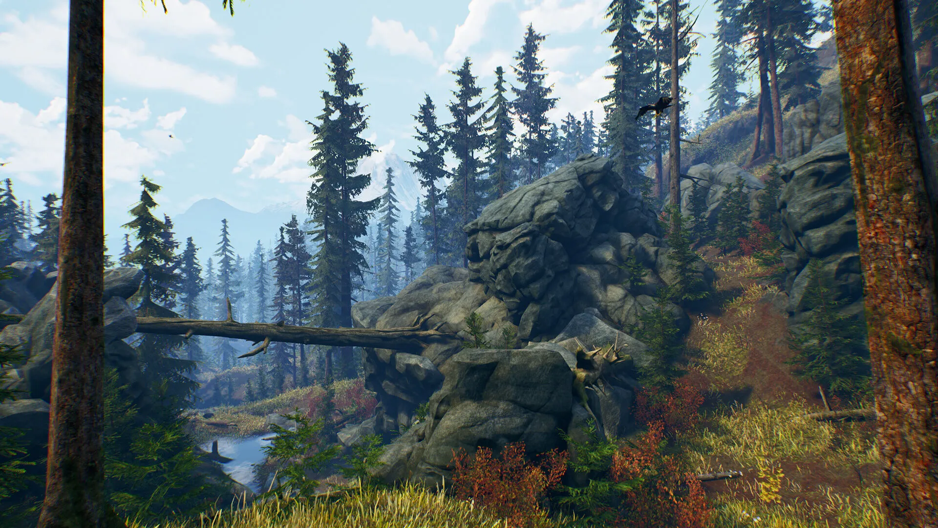 Open Country (PC Steam Key / Global)