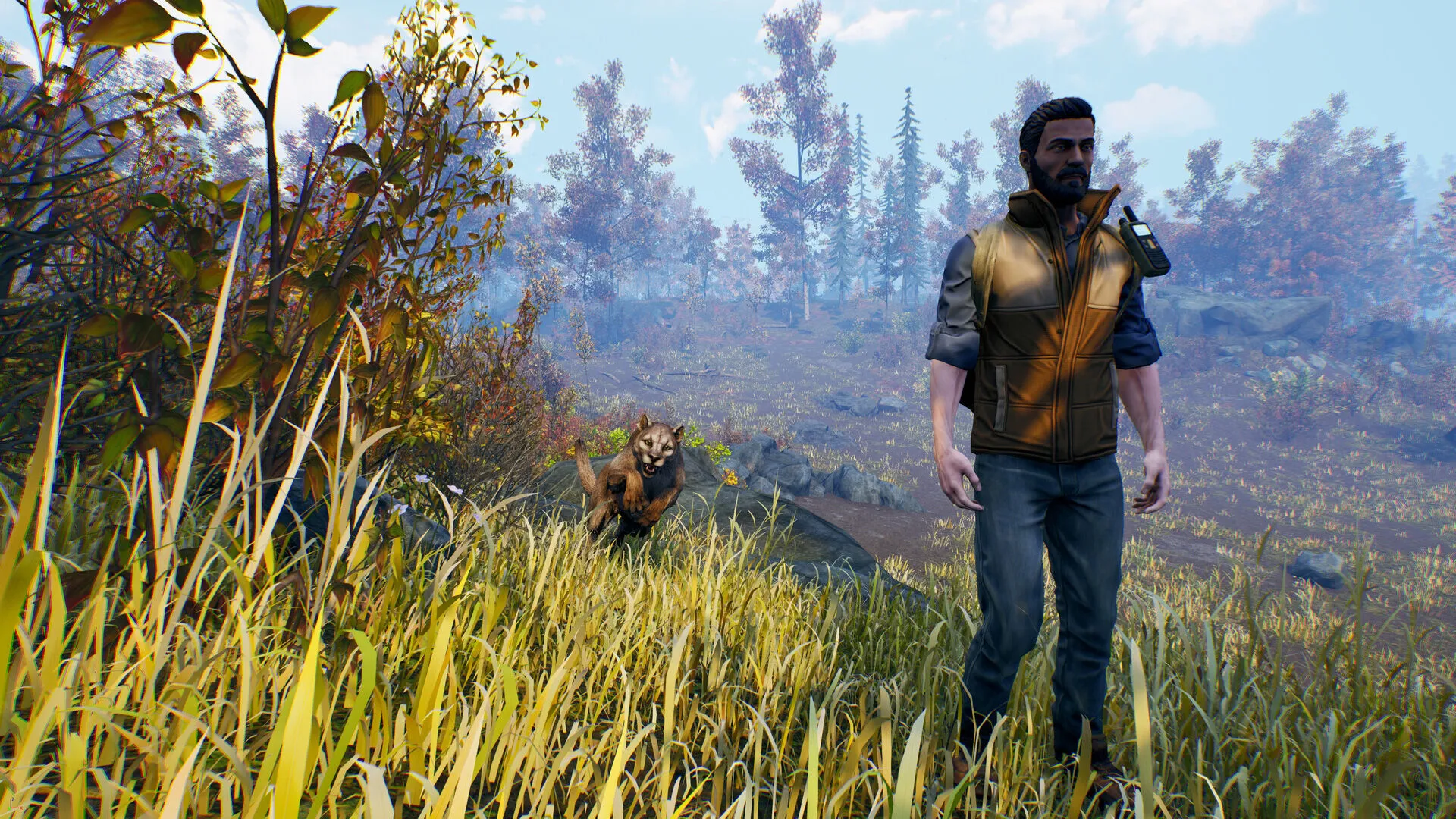 Open Country (PC Steam Key / Global)
