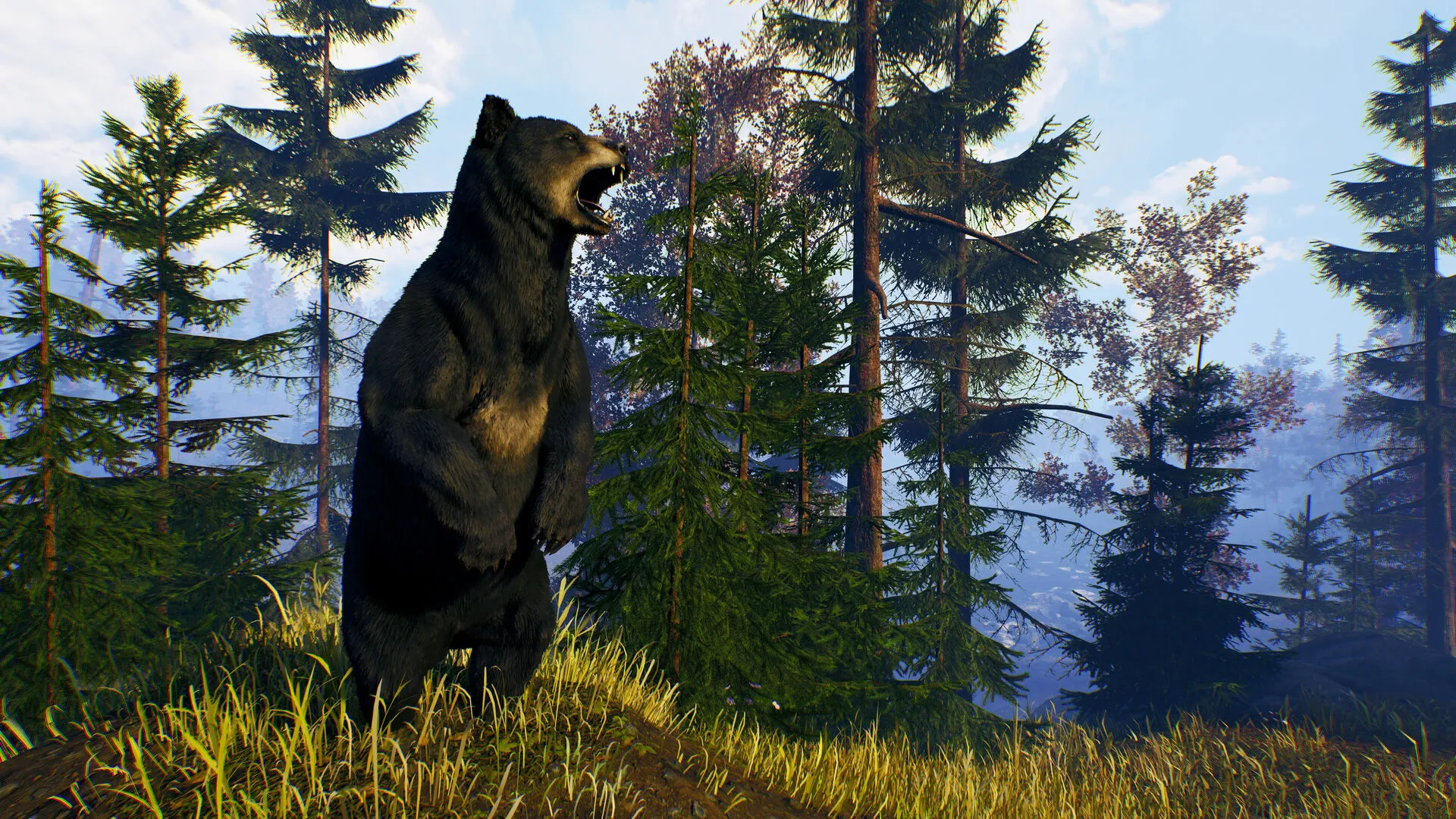 Open Country (PC Steam Key / Global)