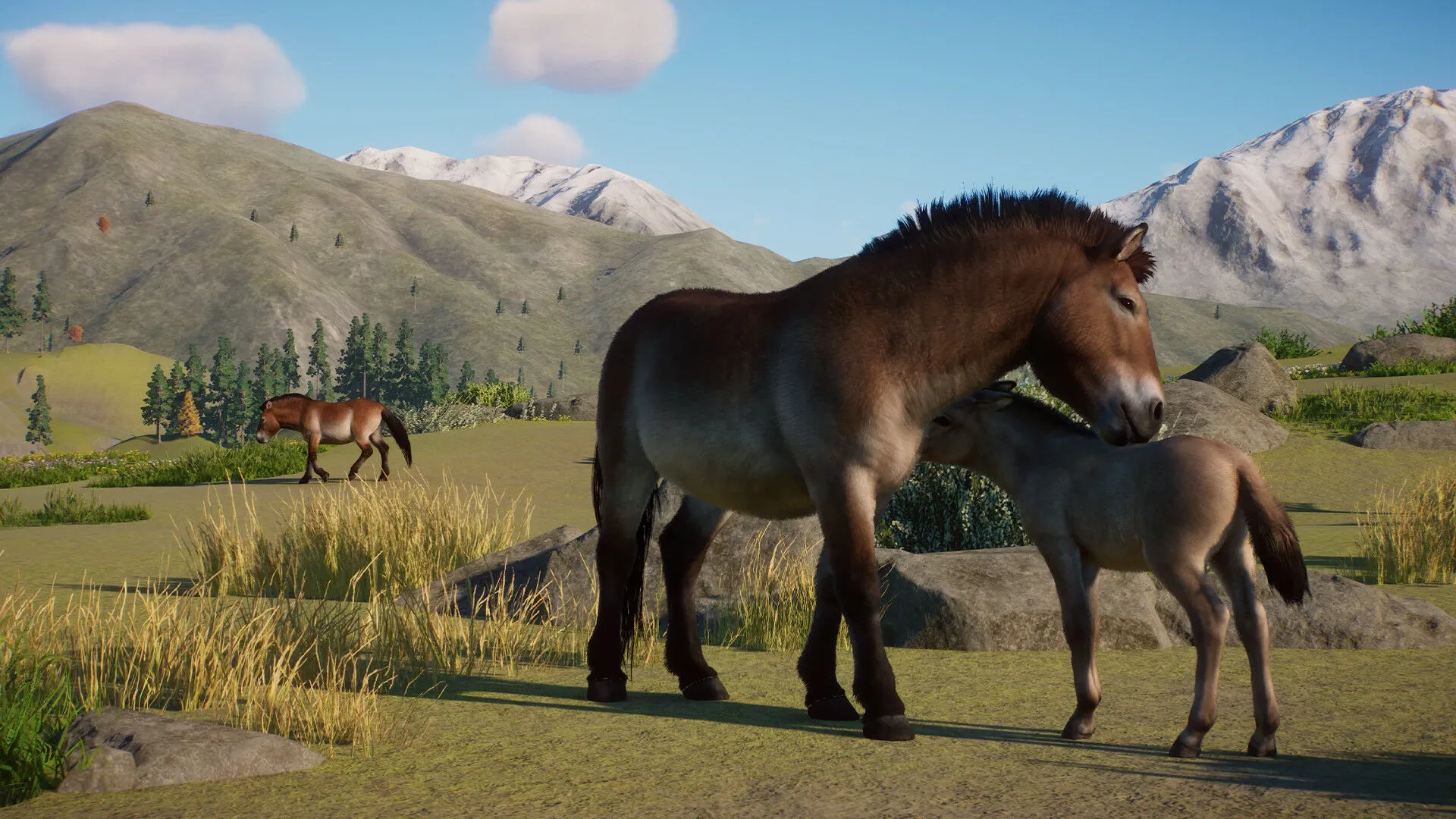 Planet Zoo: Conservation Pack (PC Steam Key / Global)