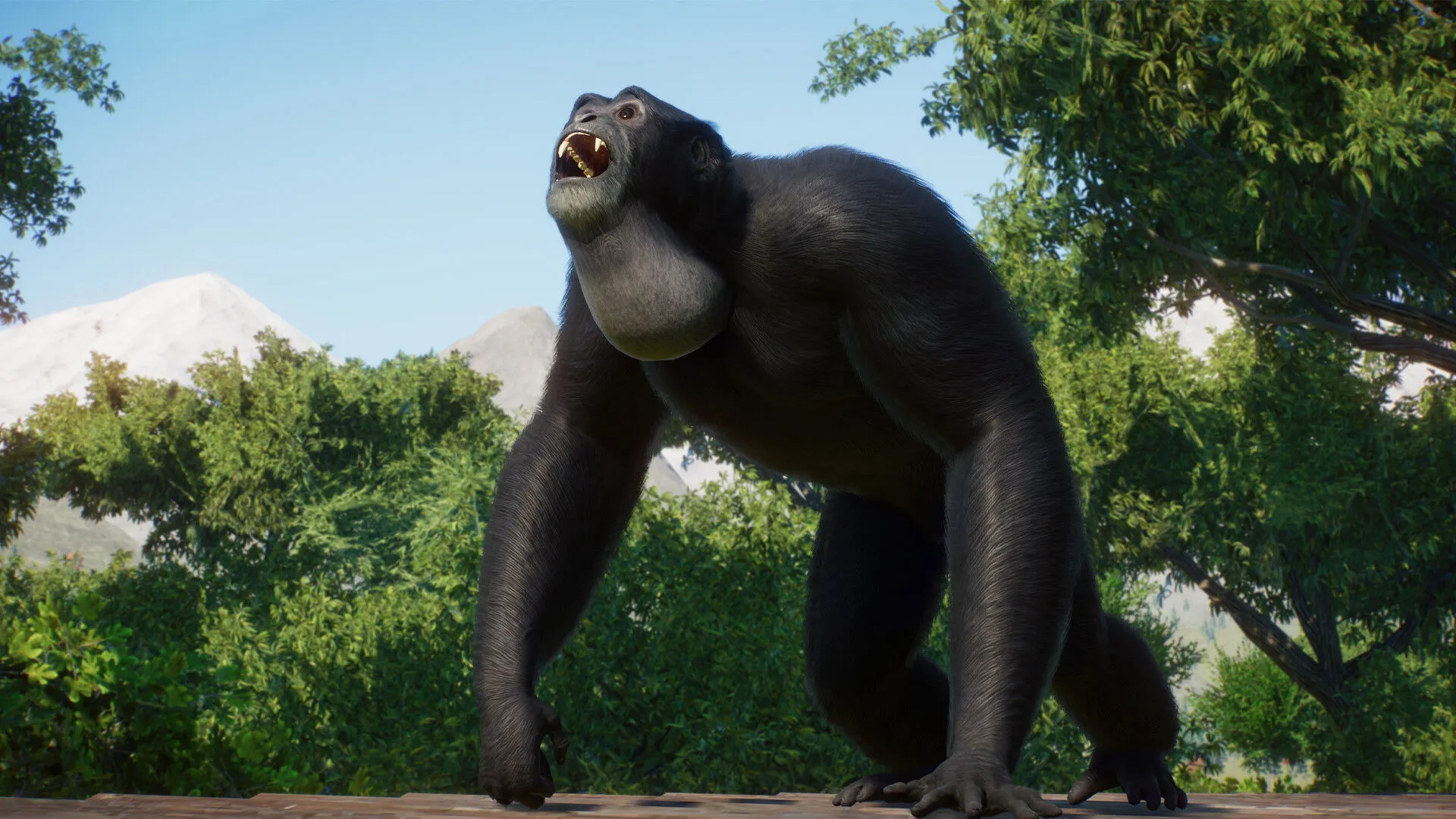 Planet Zoo: Conservation Pack (PC Steam Key / Global)