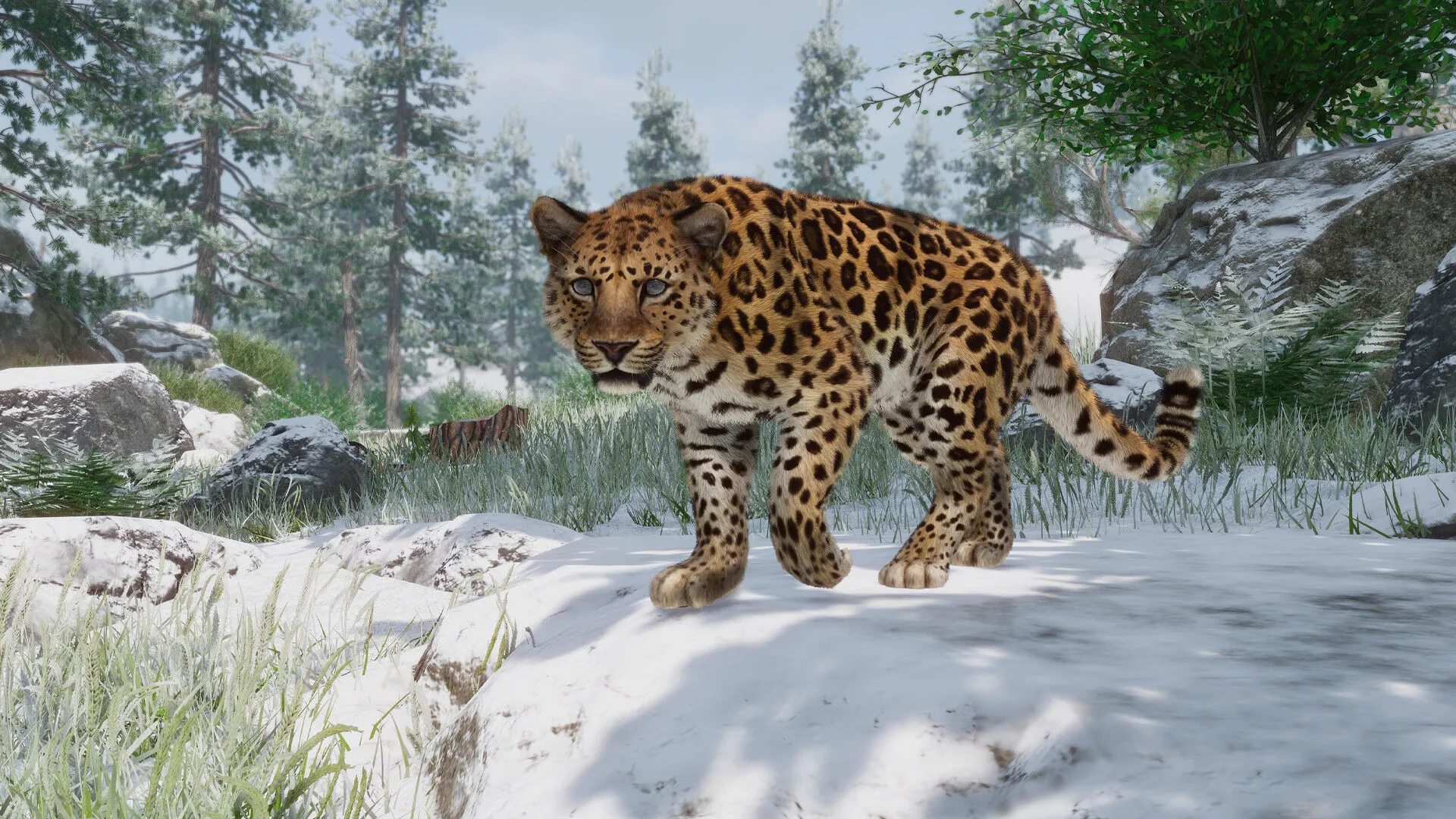 Planet Zoo: Conservation Pack (PC Steam Key / Global)