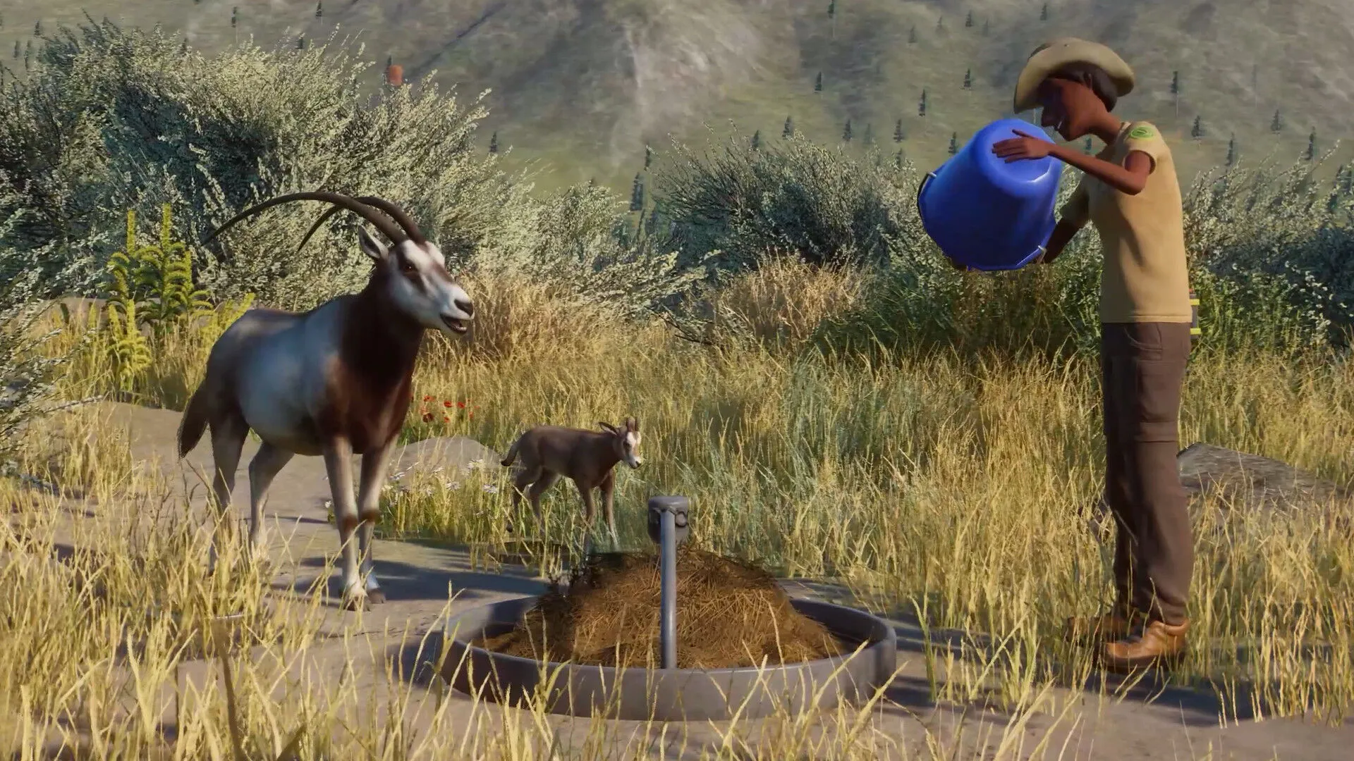 Planet Zoo: Conservation Pack (PC Steam Key / Global)