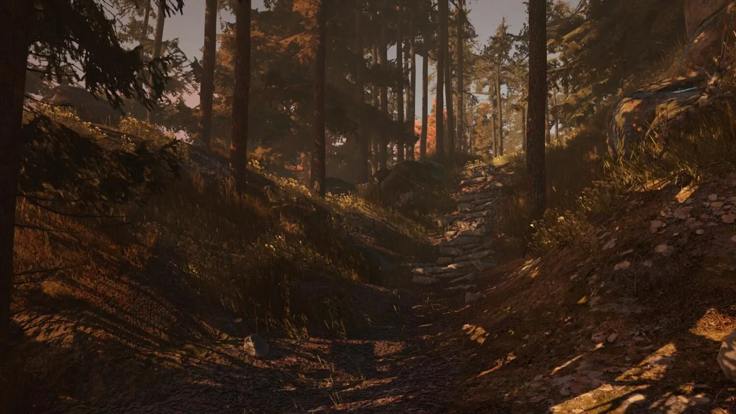 Through the Woods: Collector's Edition (PC Steam Key / Global)