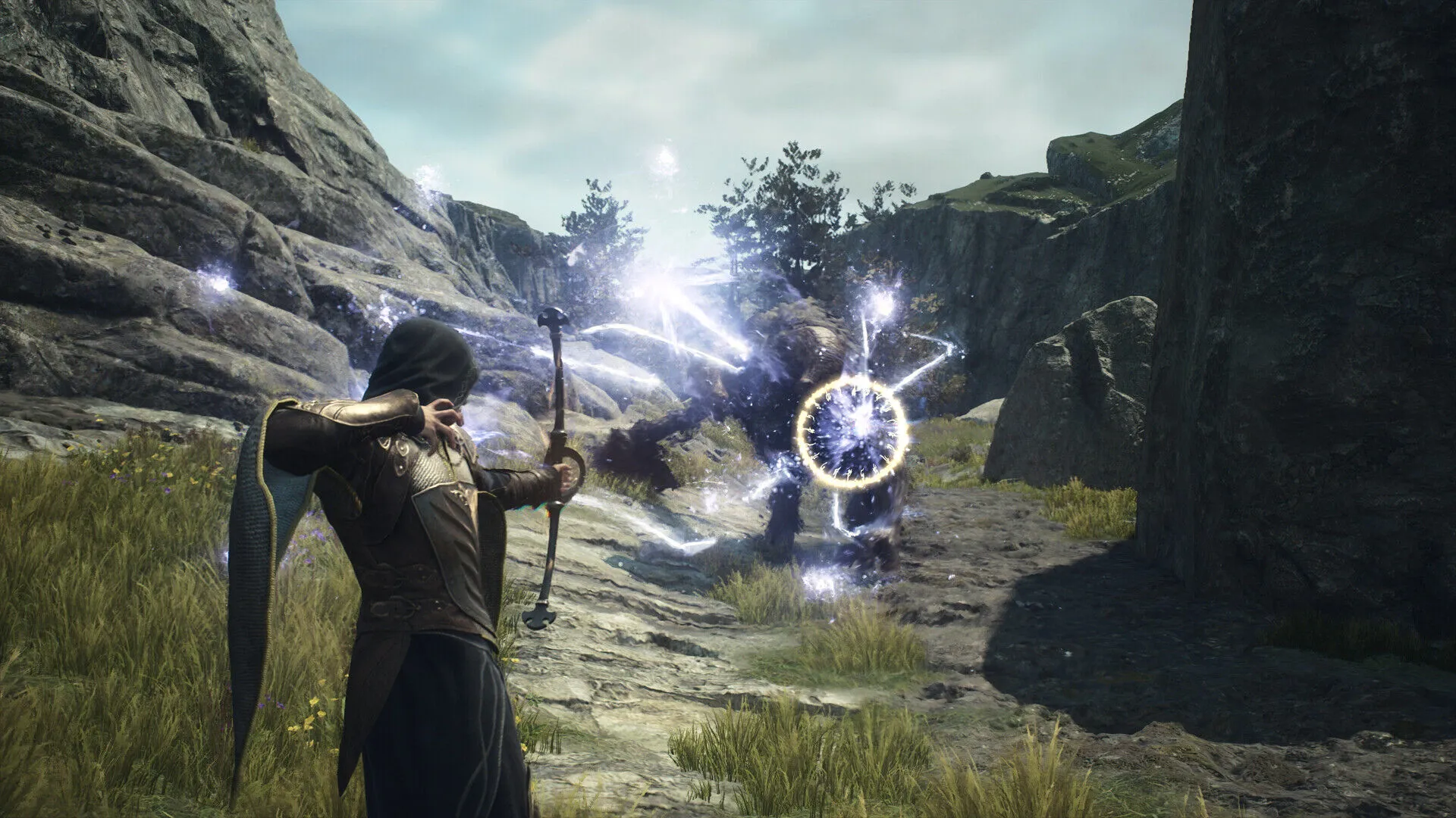 Dragon's Dogma 2 Deluxe Edition (PC Steam Key - Global)