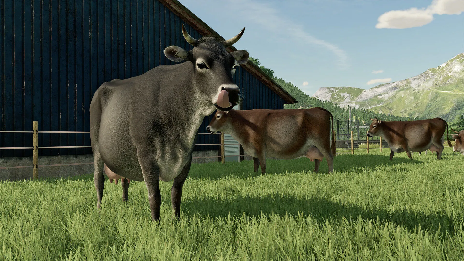 Farming Simulator 22 - Platinum Edition (PC Steam Key / Global)