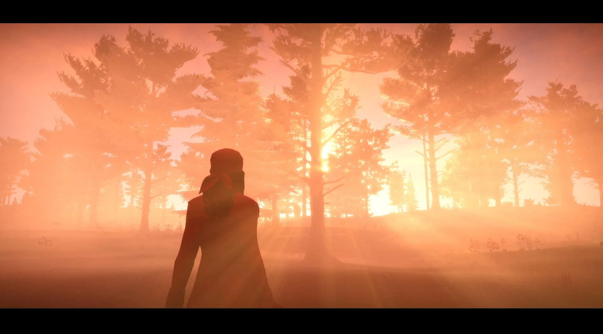 Forgotten Seas (PC Steam Key / Global)