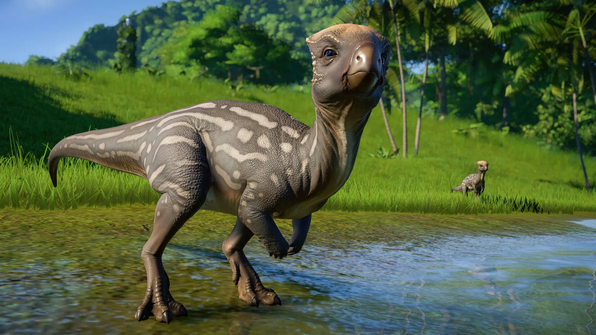 Jurassic World Evolution: Pakket met plantenetende dinosaurussen (PC Steam-sleutel / Global)