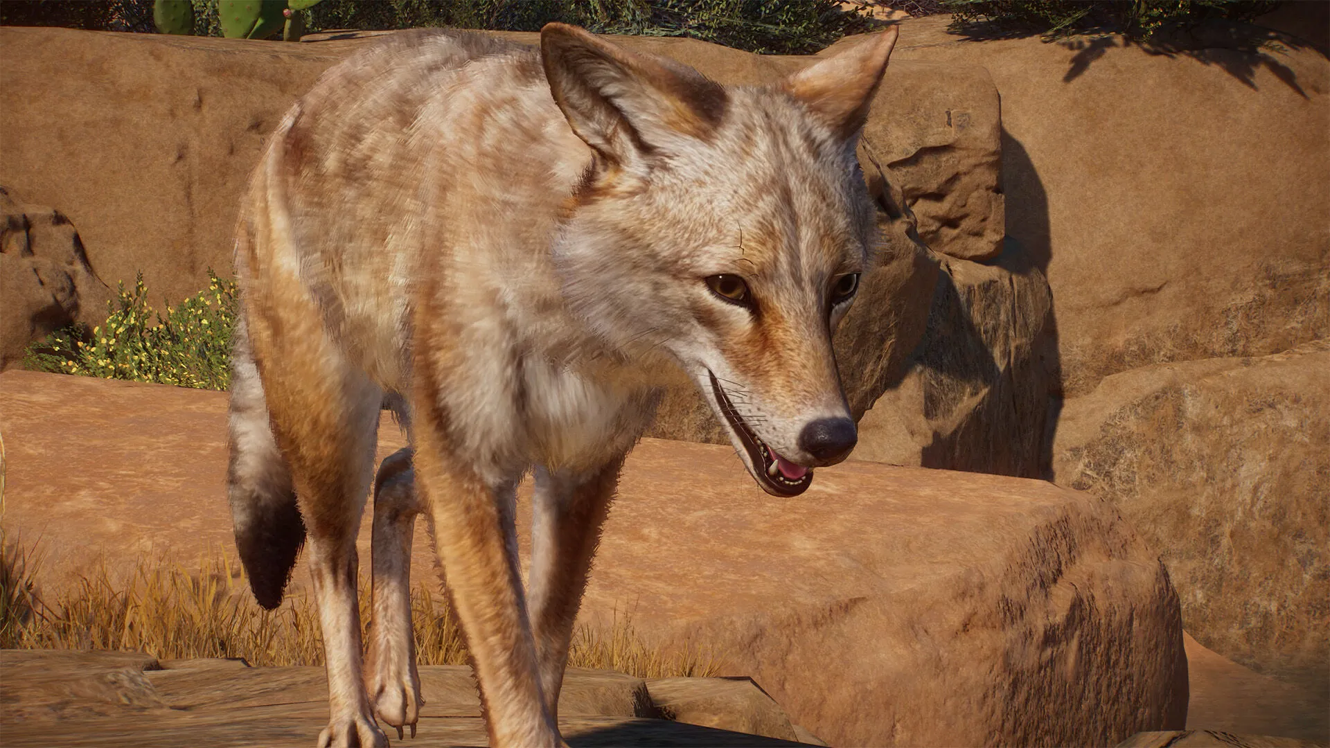 Planet Zoo: Americas Animal Pack (PC Steam Key / Global)