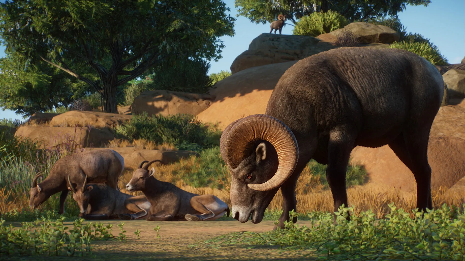 Planet Zoo: Americas Animal Pack (PC Steam Key / Global)