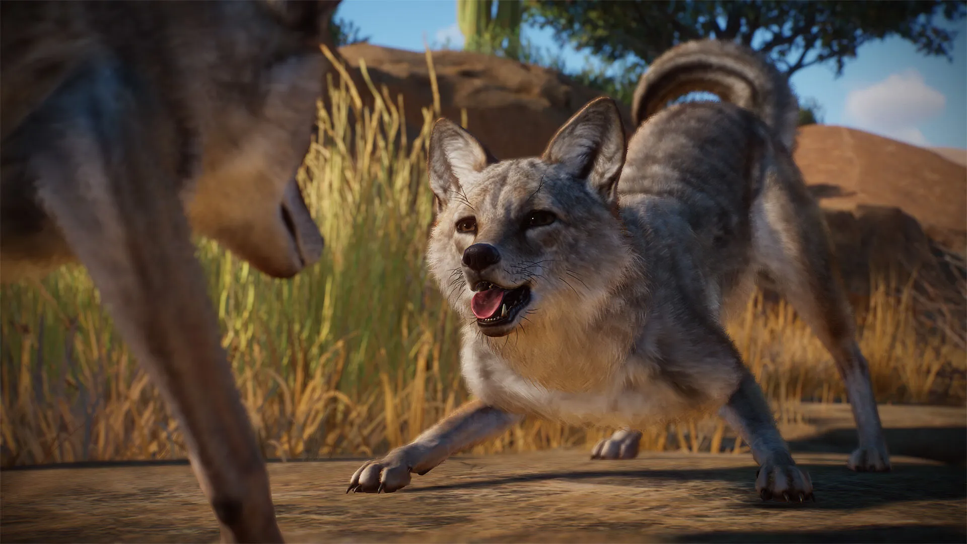Planet Zoo: Americas Animal Pack (PC Steam Key / Global)