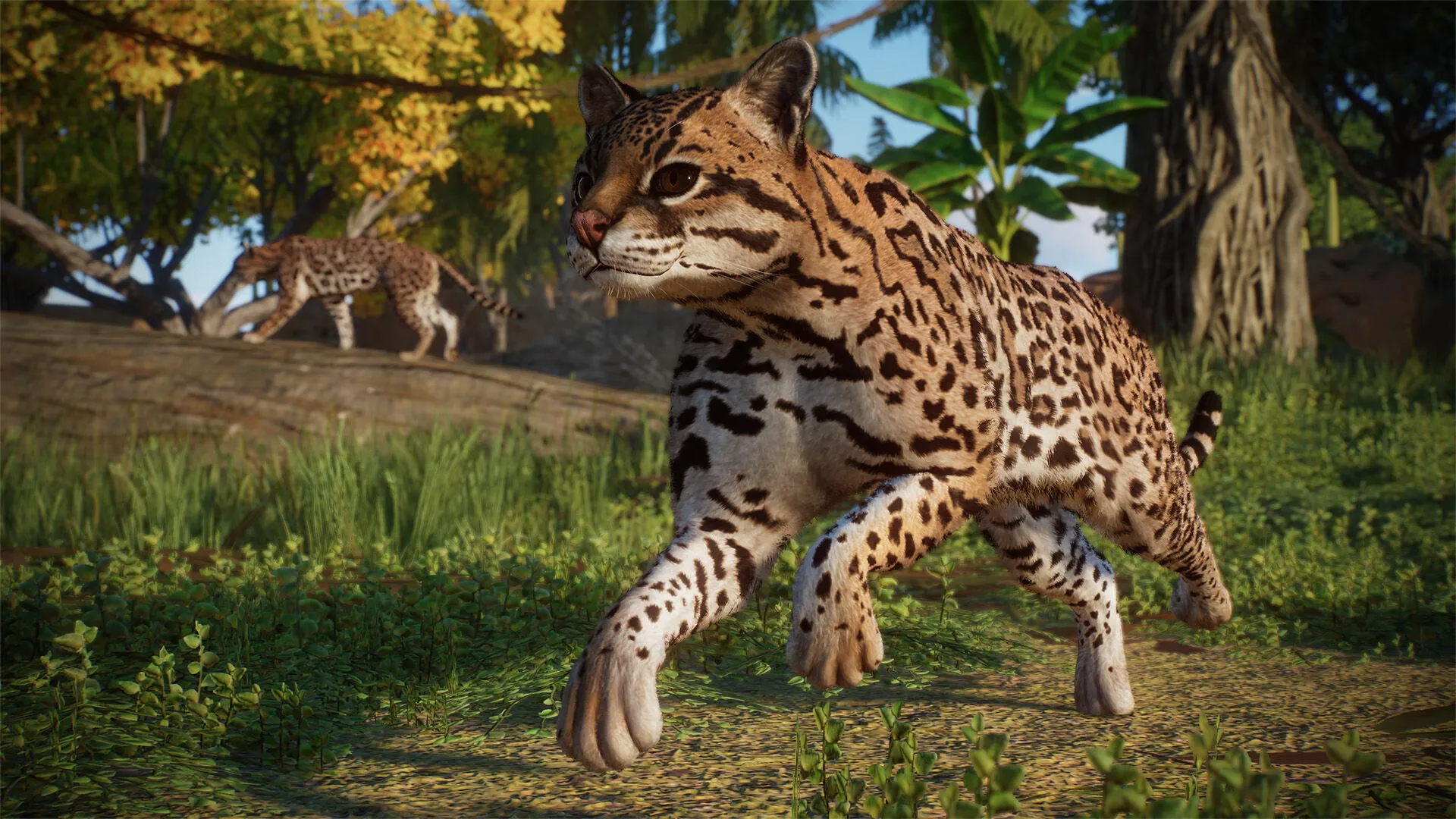 Planet Zoo: Americas Animal Pack (PC Steam Key / Global)