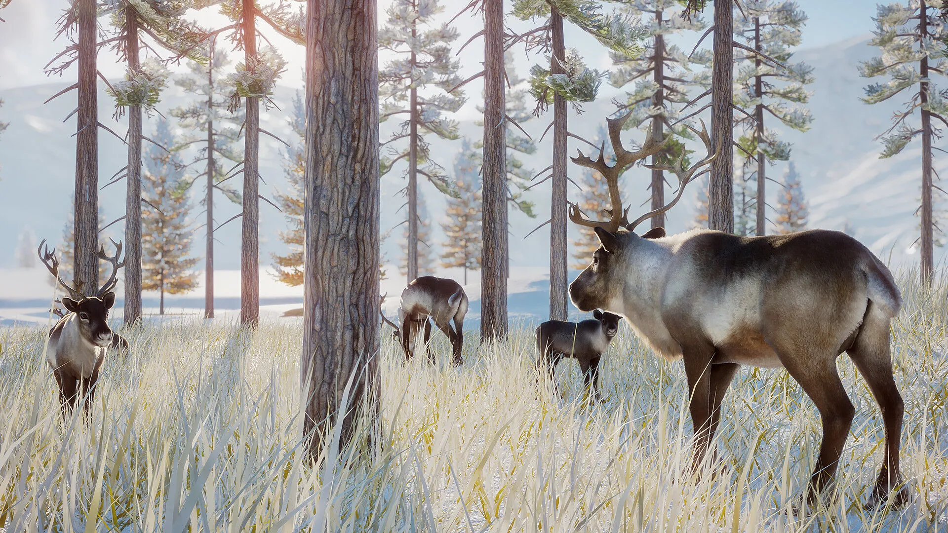 Planet Zoo: Arctic Pack (PC Steam-Schlüssel / Global)
