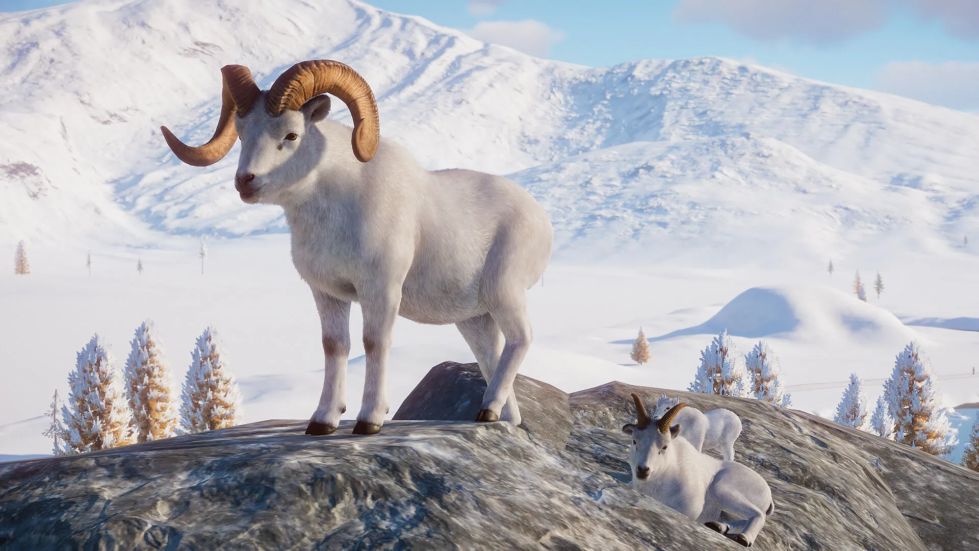 Planet Zoo: Arctic Pack (PC Steam-Schlüssel / Global)