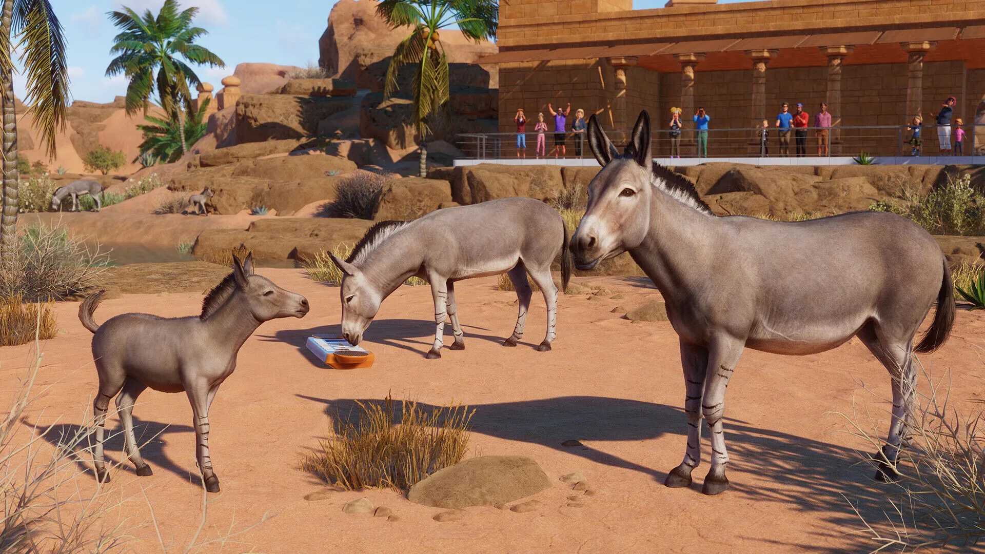 Planet Zoo: Arid Animal Pack (PC Steam Schlüssel / Global)
