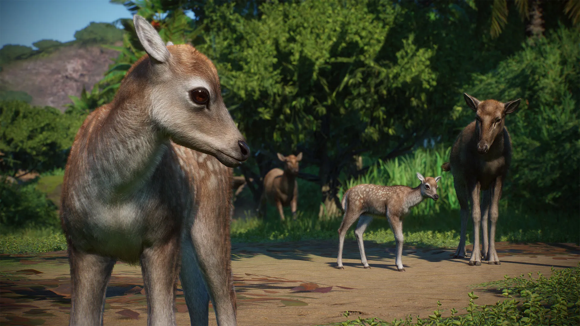 Planet Zoo: Asia Animal Pack (PC Steam Key / Global)