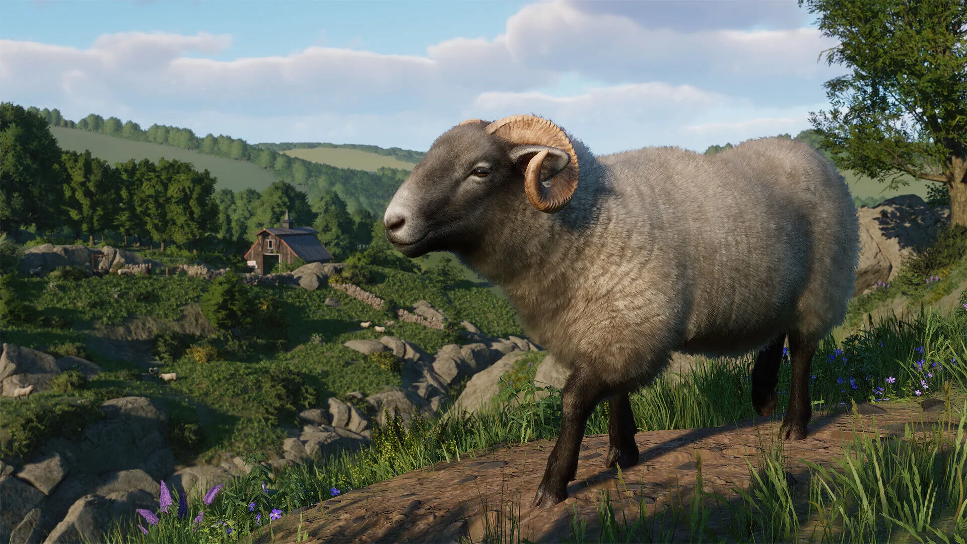 Planet Zoo: Barnyard Animal Pack (PC Steam Key / Global)
