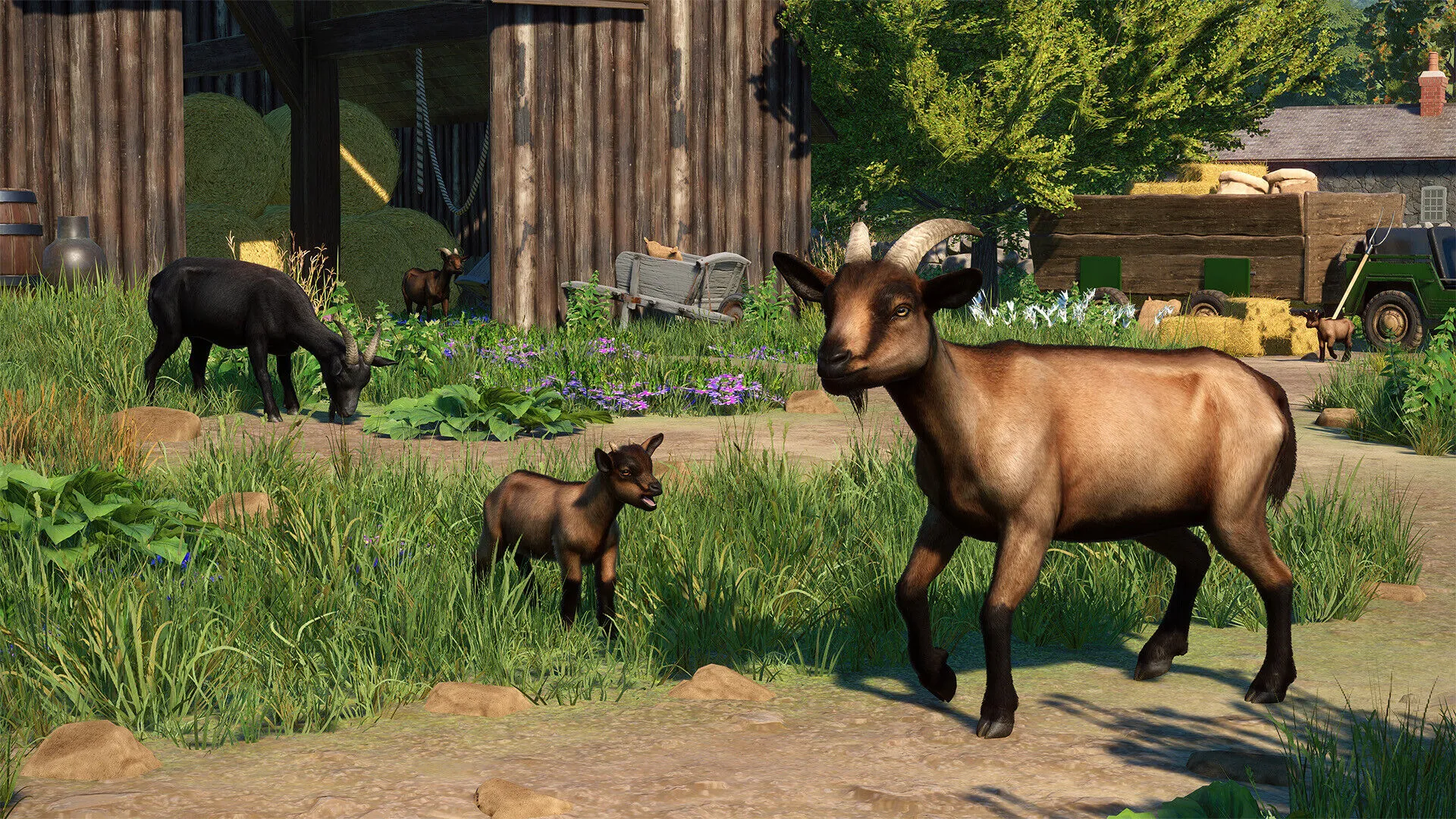 Planet Zoo: Barnyard Animal Pack (PC Steam Key / Global)