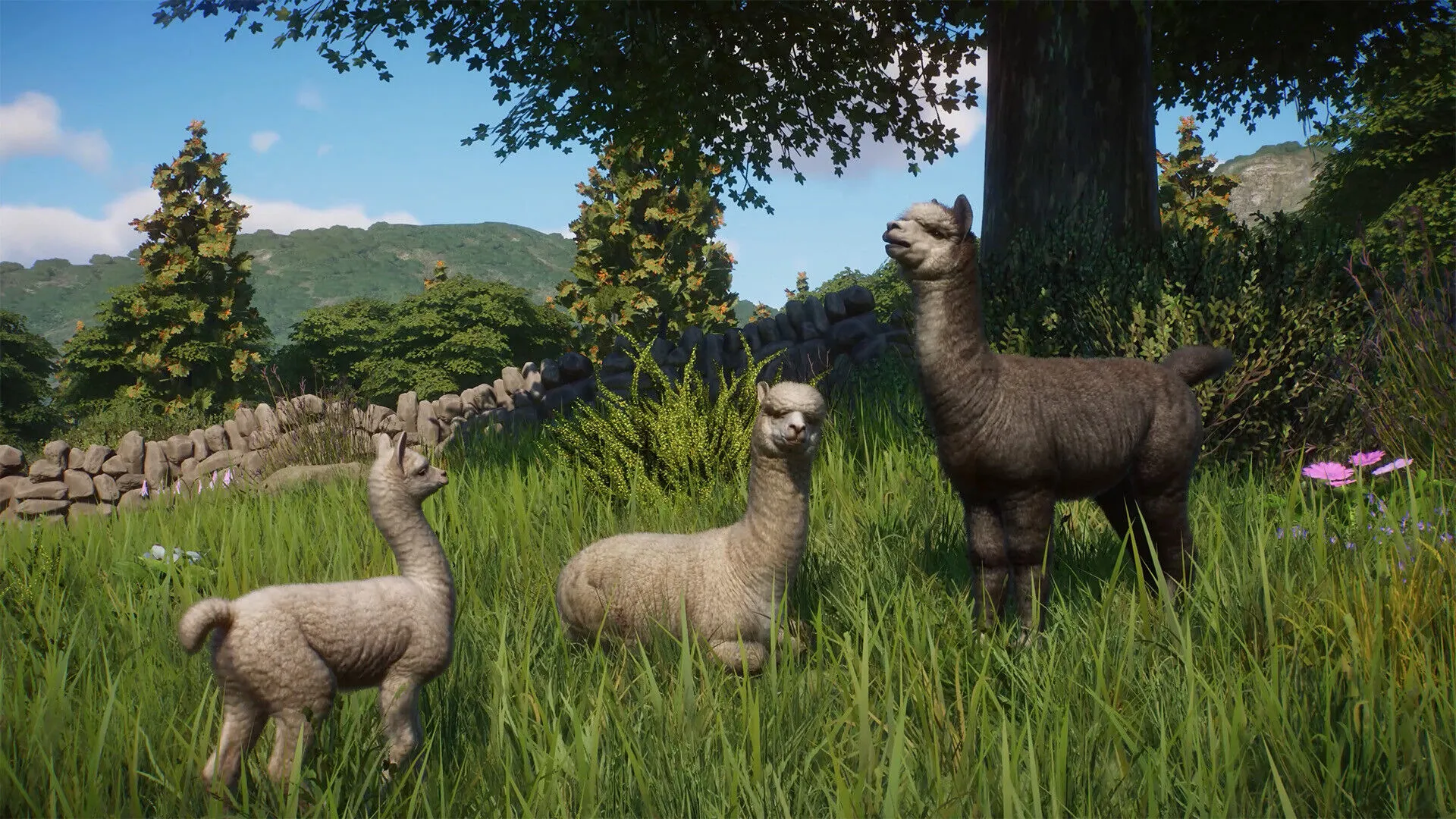Planet Zoo: Barnyard Animal Pack (PC Steam Key / Global)