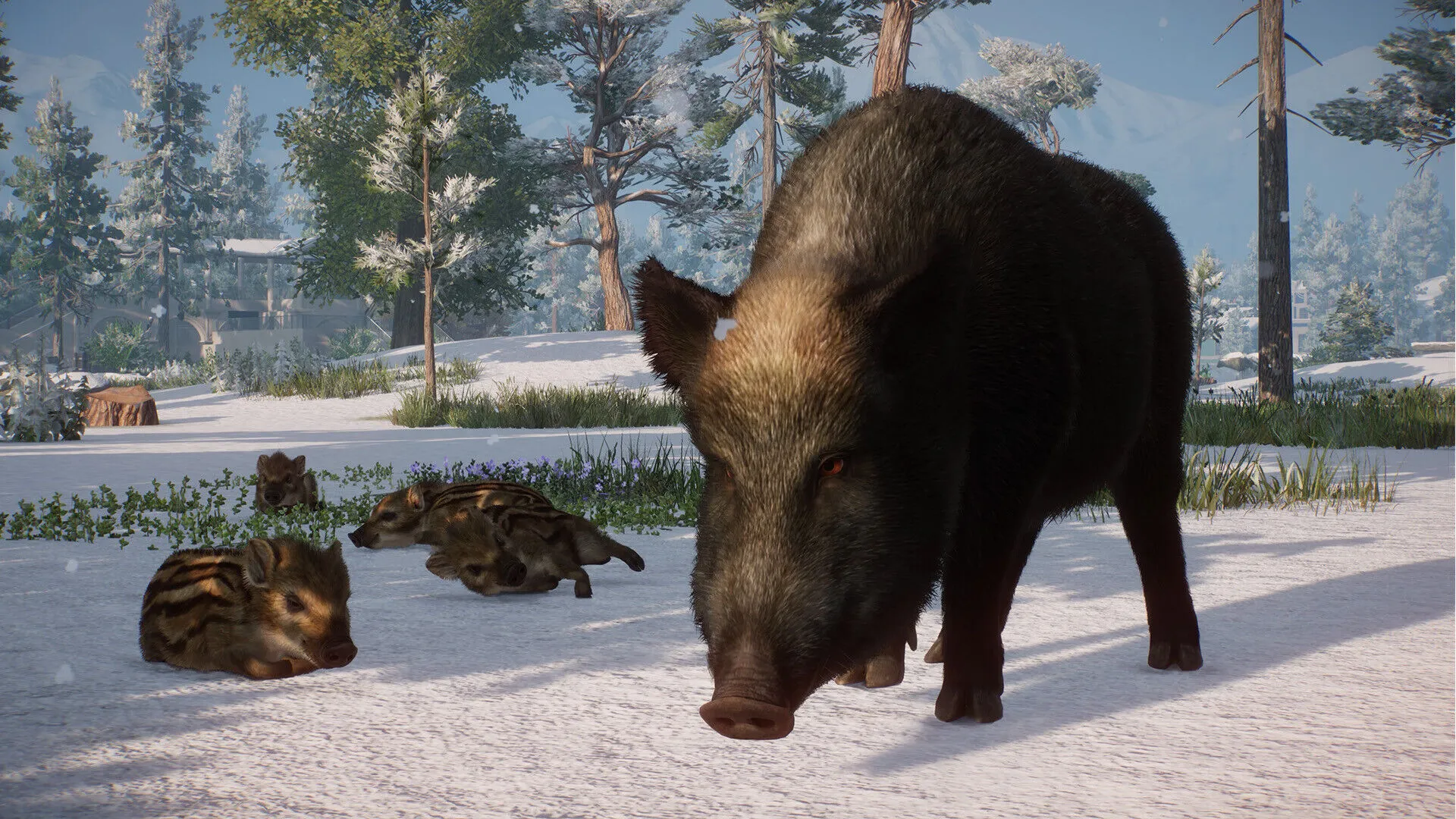 Planet Zoo: Eurasia Animal Pack (PC Steam Key / Global)