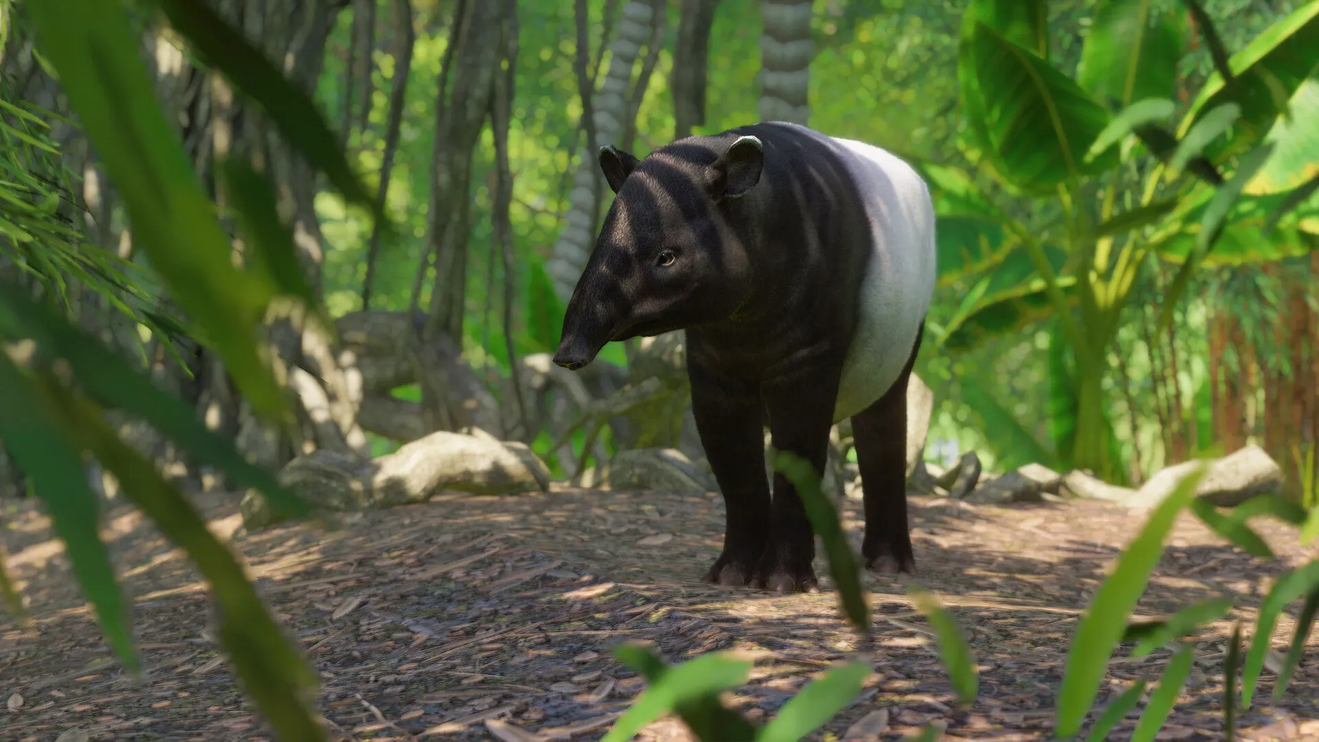Planet Zoo: Southeast Asia Animal Pack (PC Steam Key / Global)