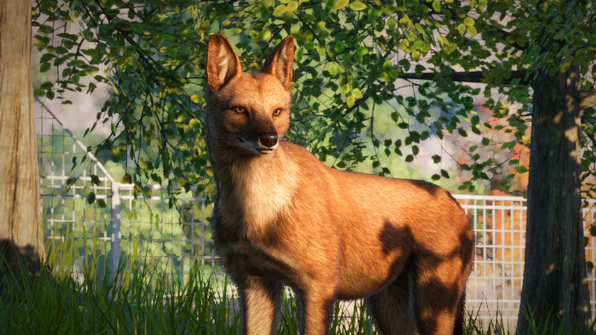 Planet Zoo: Southeast Asia Animal Pack (PC Steam Key / Global)