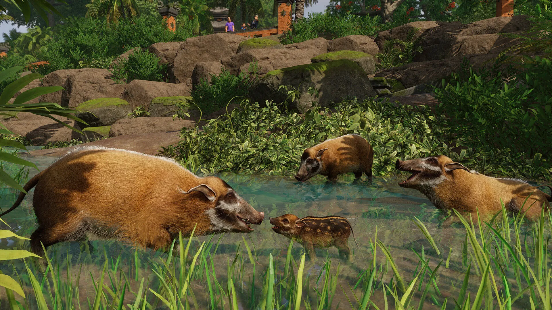 Planet Zoo: Tropical Pack (PC Steam Key / Global)