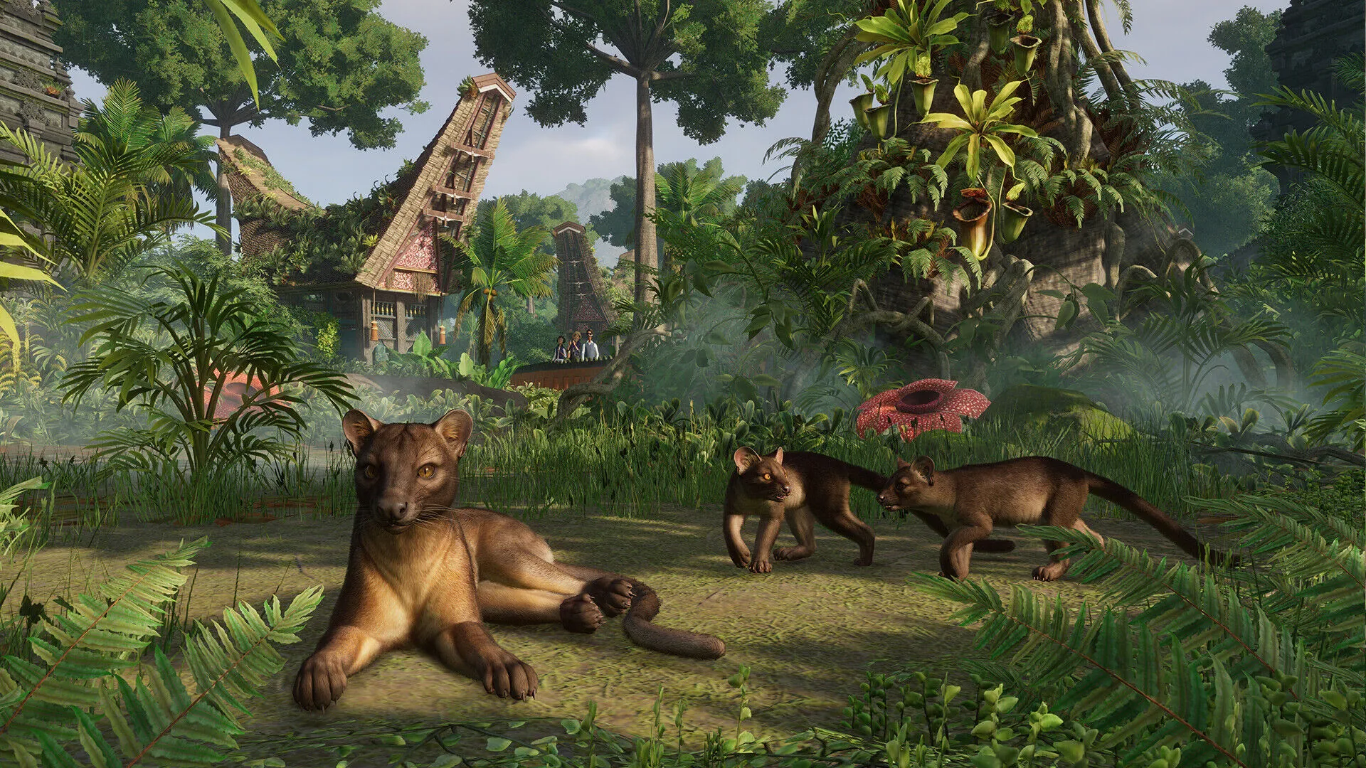 Planet Zoo: Tropical Pack (PC Steam Key / Global)