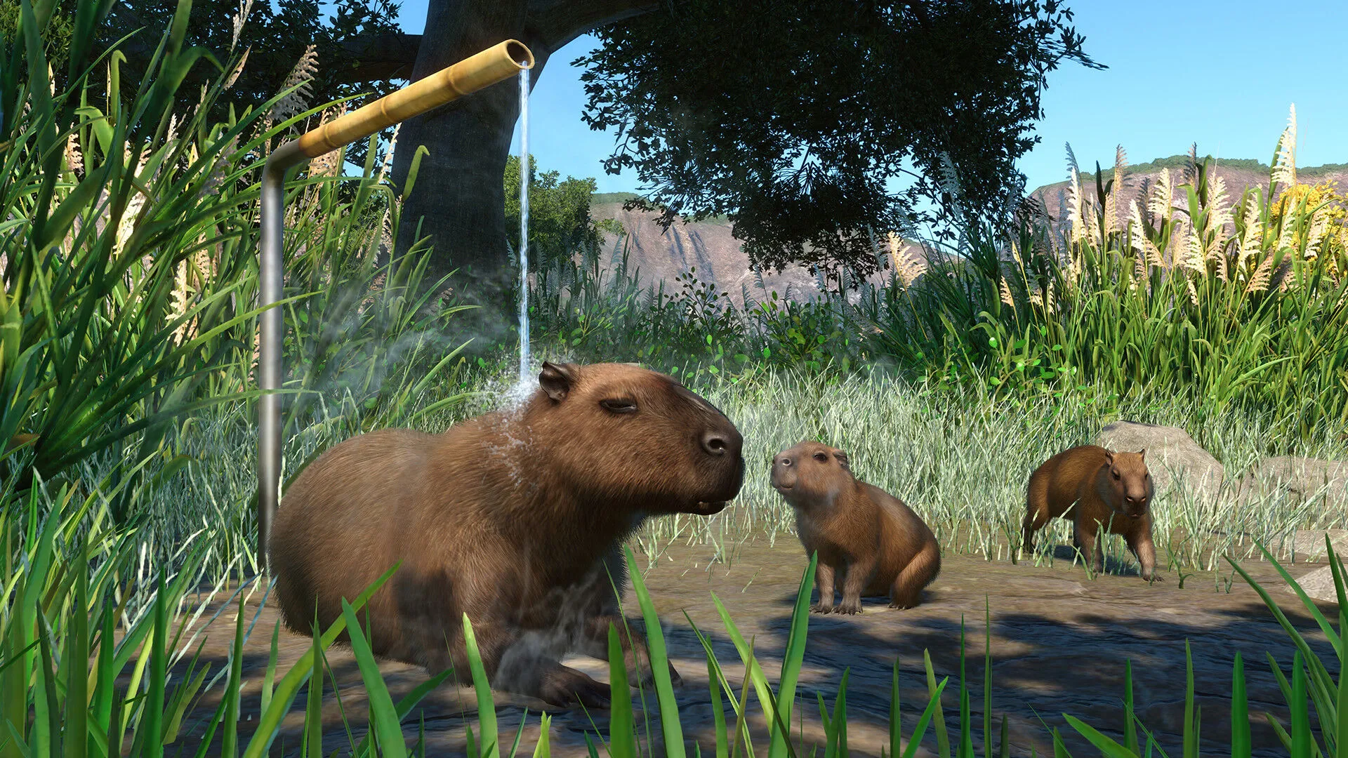 Planet Zoo: Pack de animales de los humedales (PC Steam Clave / Global)