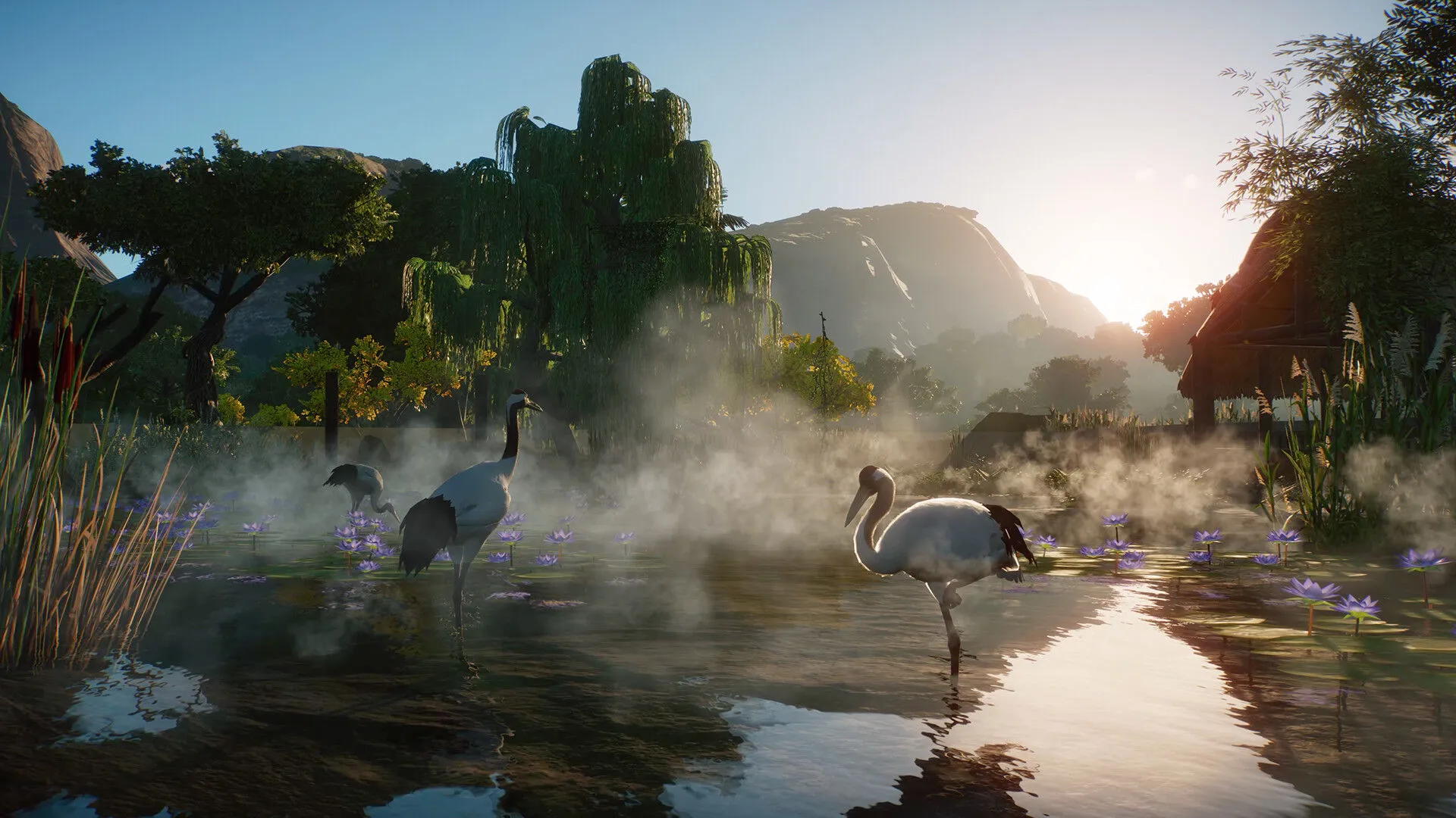 Planet Zoo: Pack de animales de los humedales (PC Steam Clave / Global)