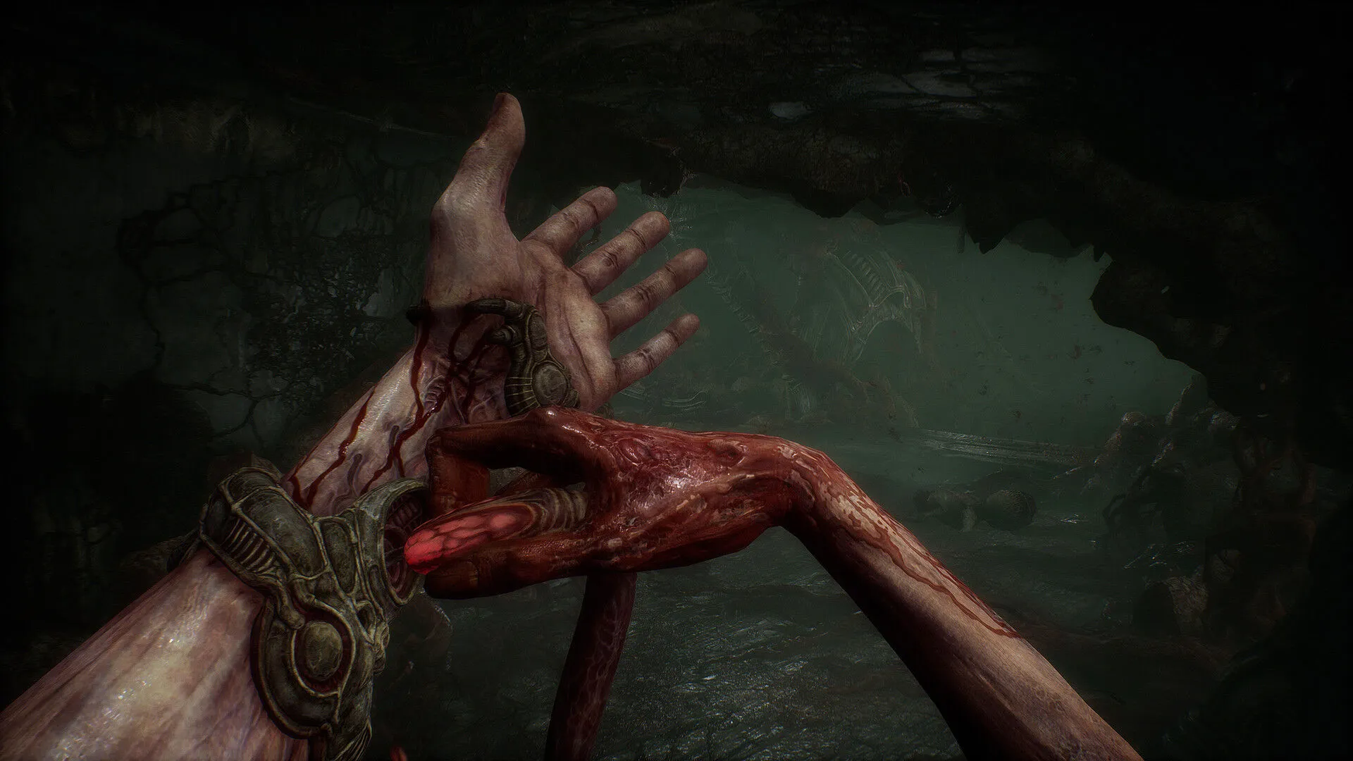 Scorn (PC Steam Key / Global)