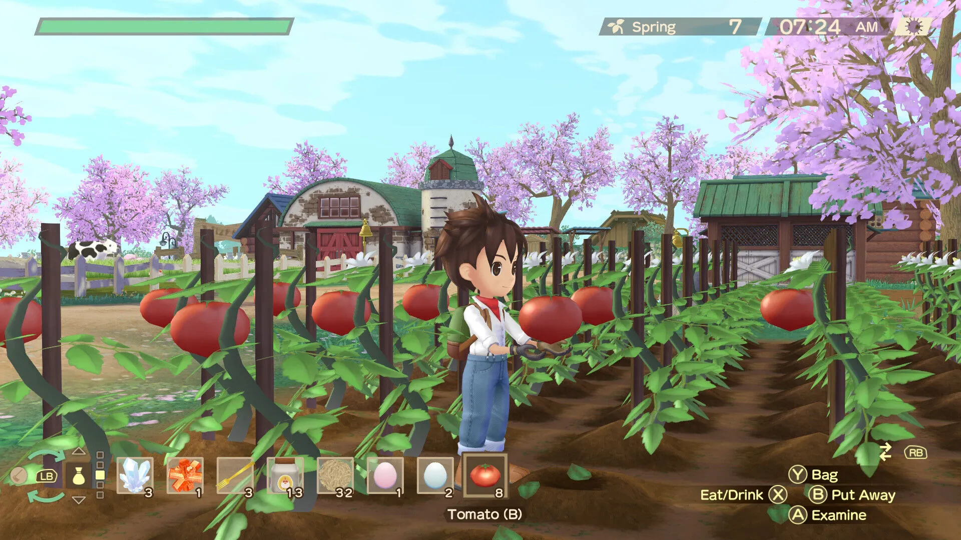 STORY OF SEASONS: A Wonderful Life (PC Steam Key / Global)