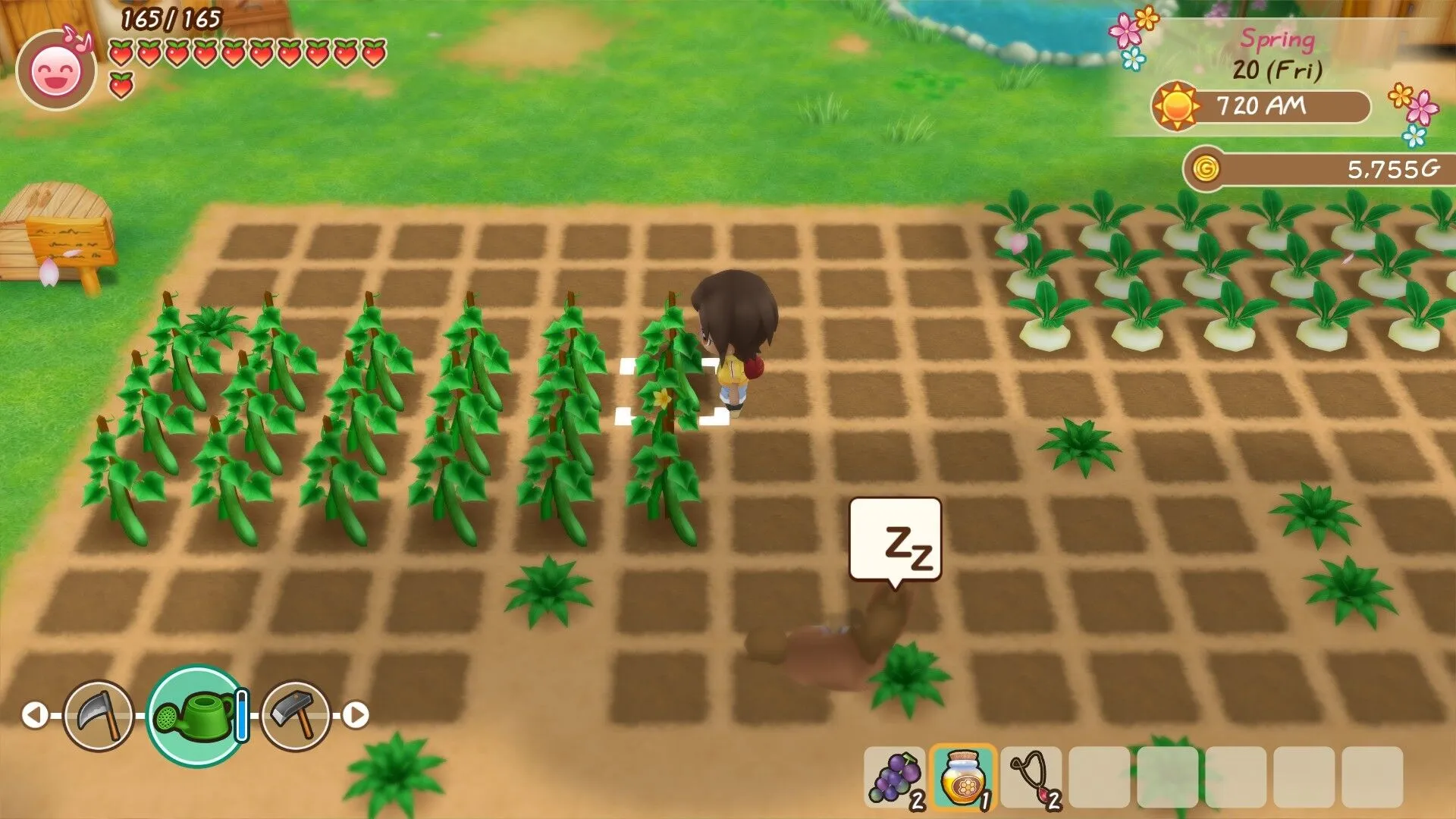 STORY OF SEASONS: Friends of Mineral Town (PC Steam Key / Global)