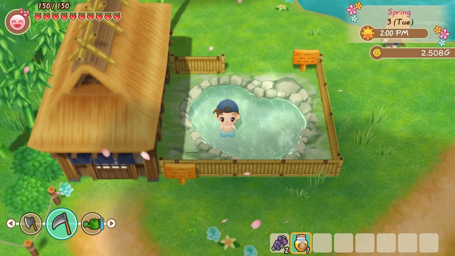 STORY OF SEASONS: Friends of Mineral Town (PC Steam Key / Global)