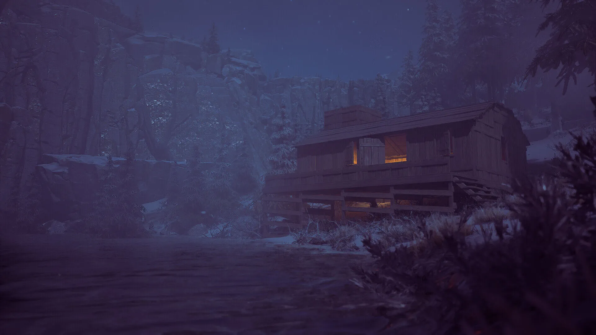 Überleben im Winter (PC Steam Schlüssel / Global)
