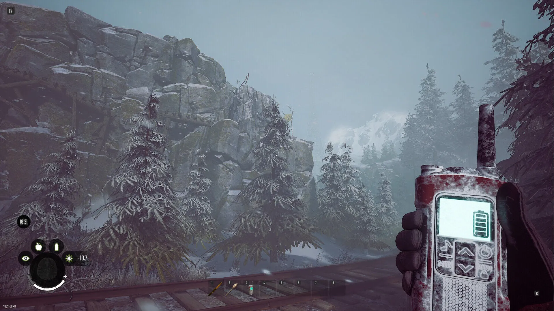Überleben im Winter (PC Steam Schlüssel / Global)