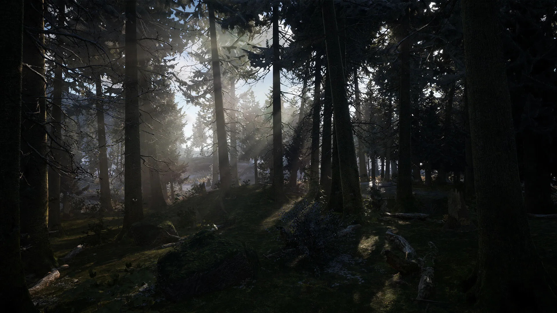 Überleben im Winter (PC Steam Schlüssel / Global)
