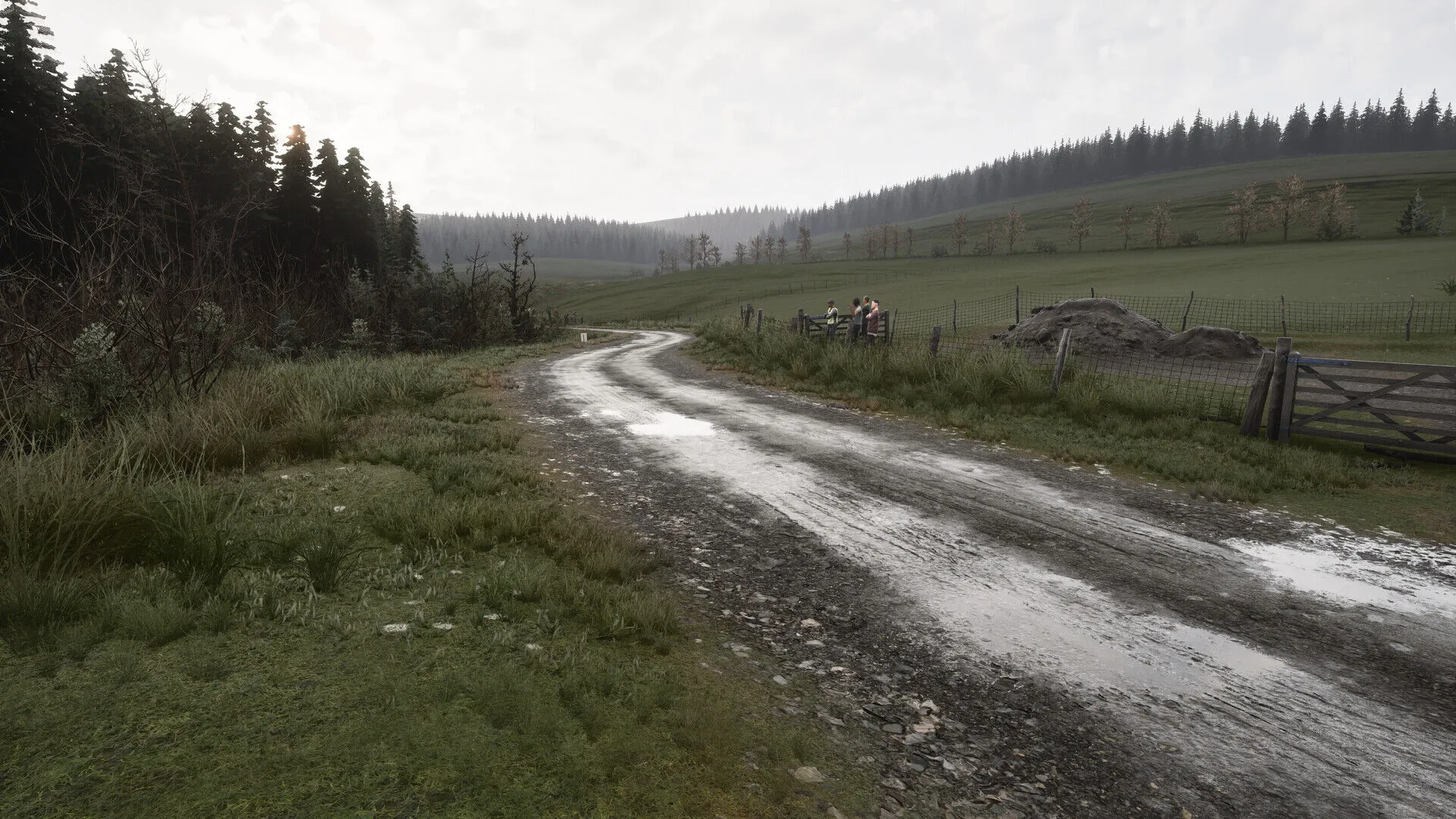 Assetto Corsa Rallye (PC Steam Schlüssel / Global)