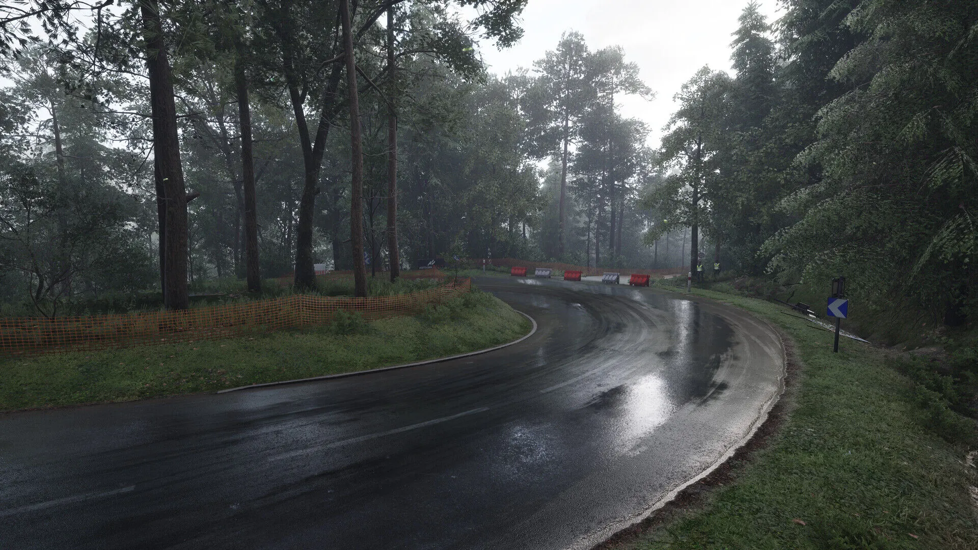 Assetto Corsa Rallye (PC Steam Schlüssel / Global)