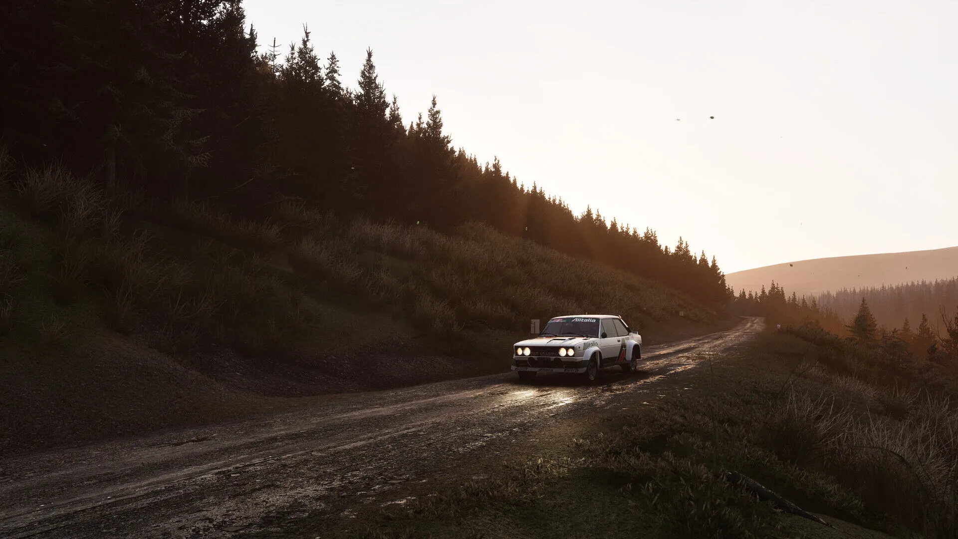 Assetto Corsa Rallye (PC Steam Schlüssel / Global)