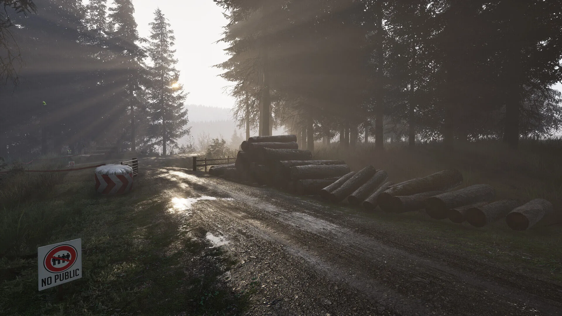 Assetto Corsa Rallye (PC Steam Schlüssel / Global)