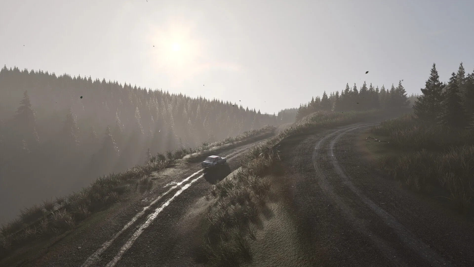 Assetto Corsa Rallye (PC Steam Schlüssel / Global)