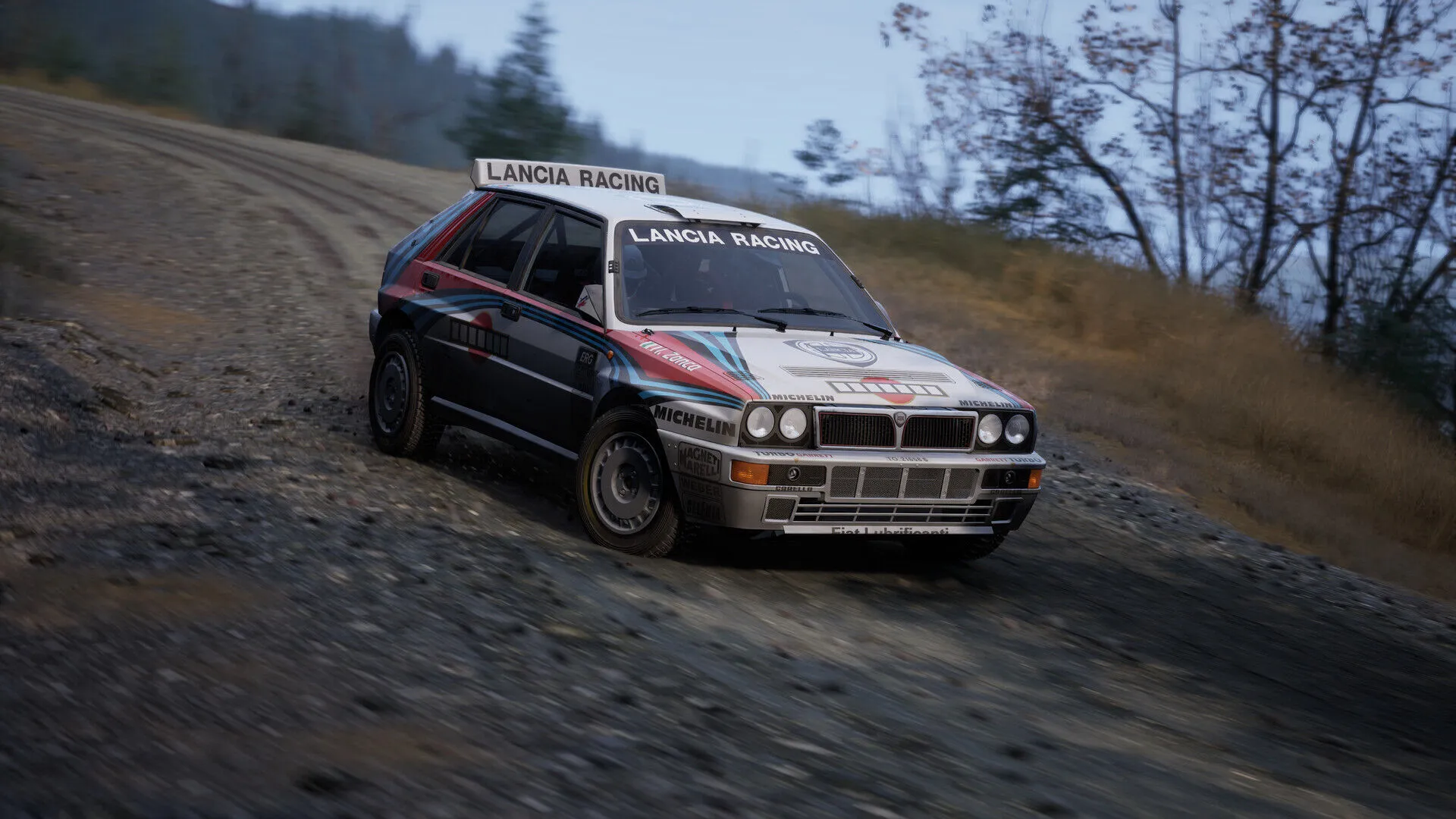 Assetto Corsa Rallye (PC Steam Schlüssel / Global)