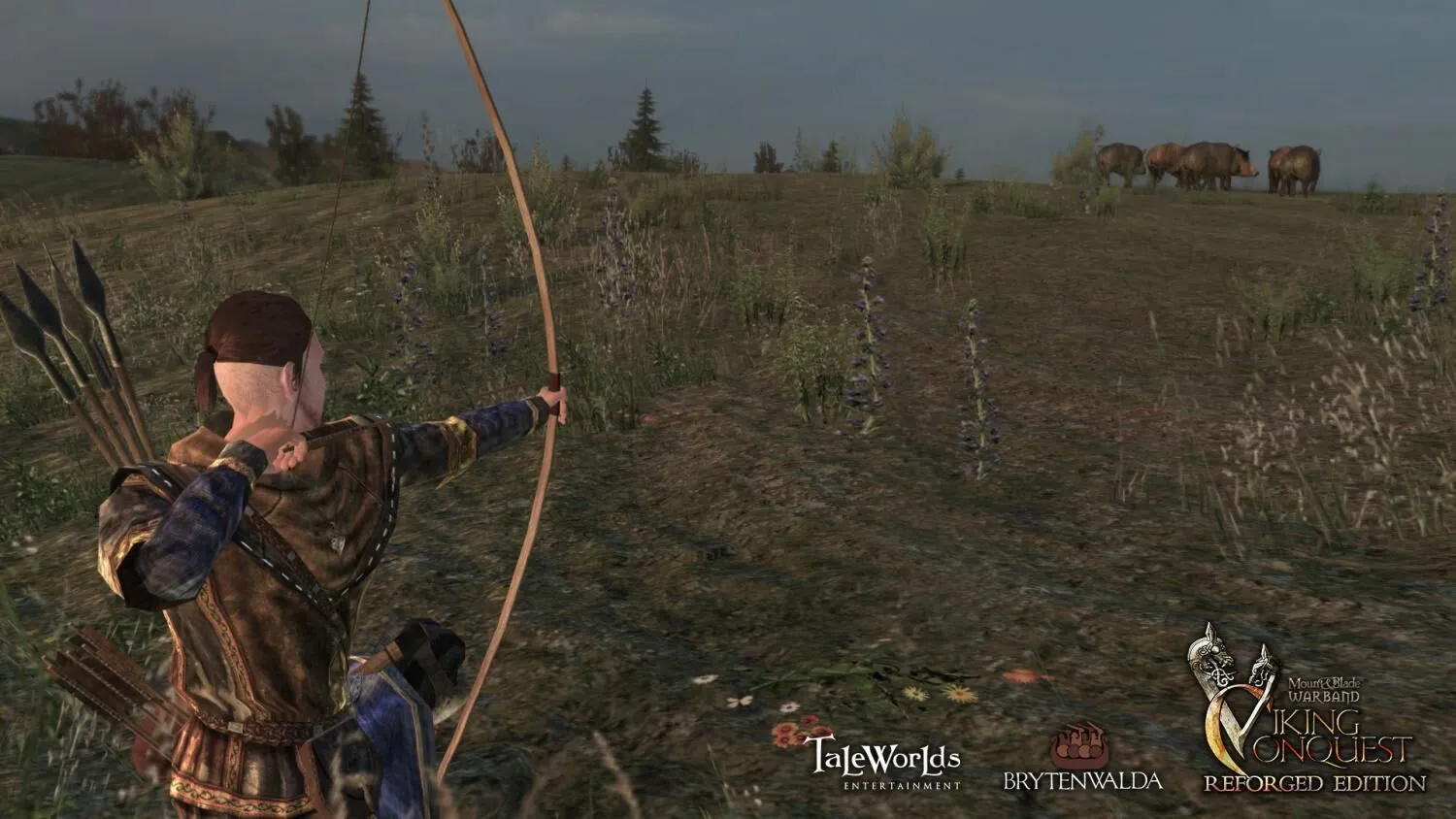 Mount and Blade: Warband - Viking Conquest Reforged Edition (PC Steam Key / Global)