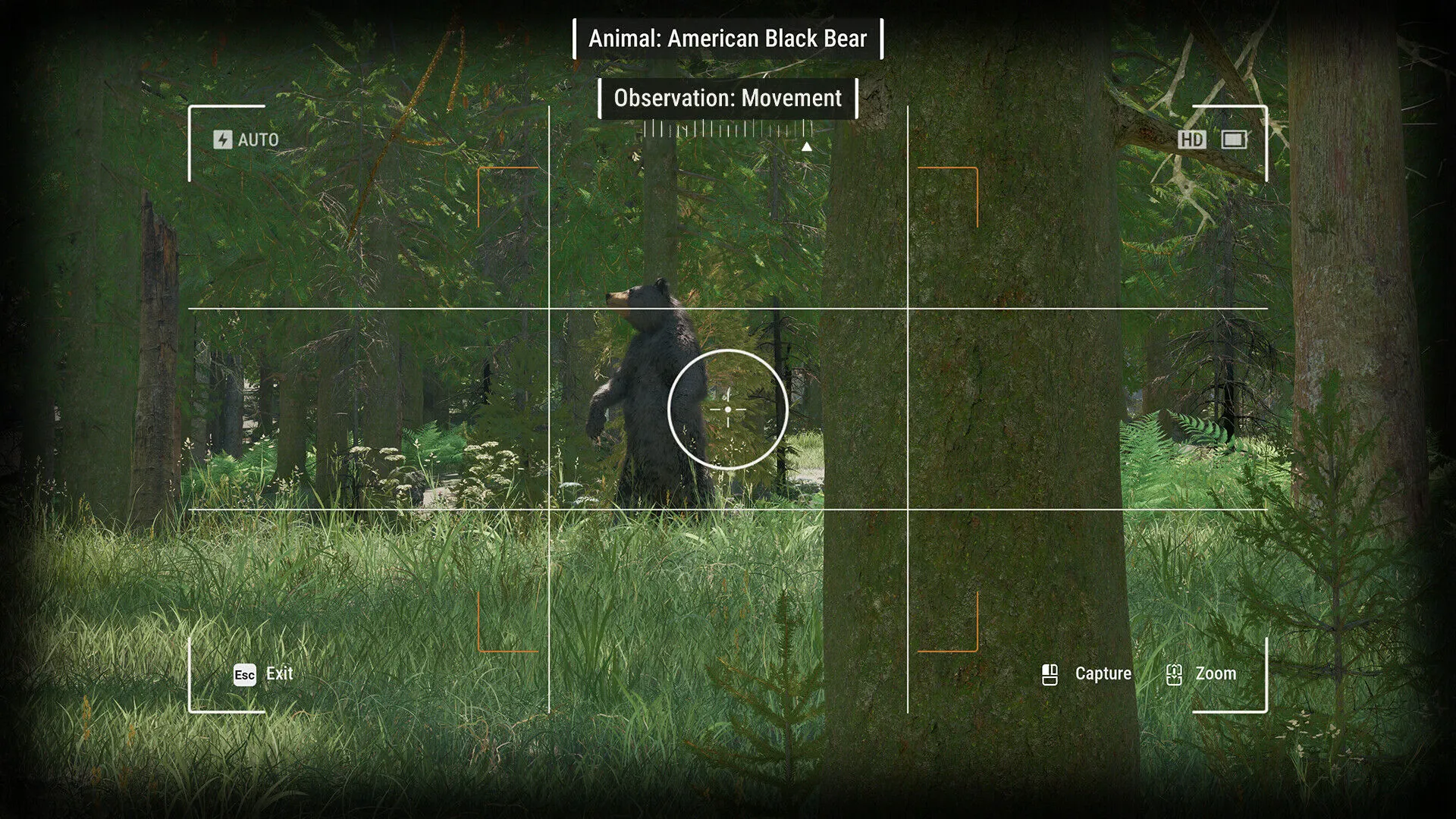 Ranger’s Path: Simulador de parques nacionales (clave para PC Steam / Global)