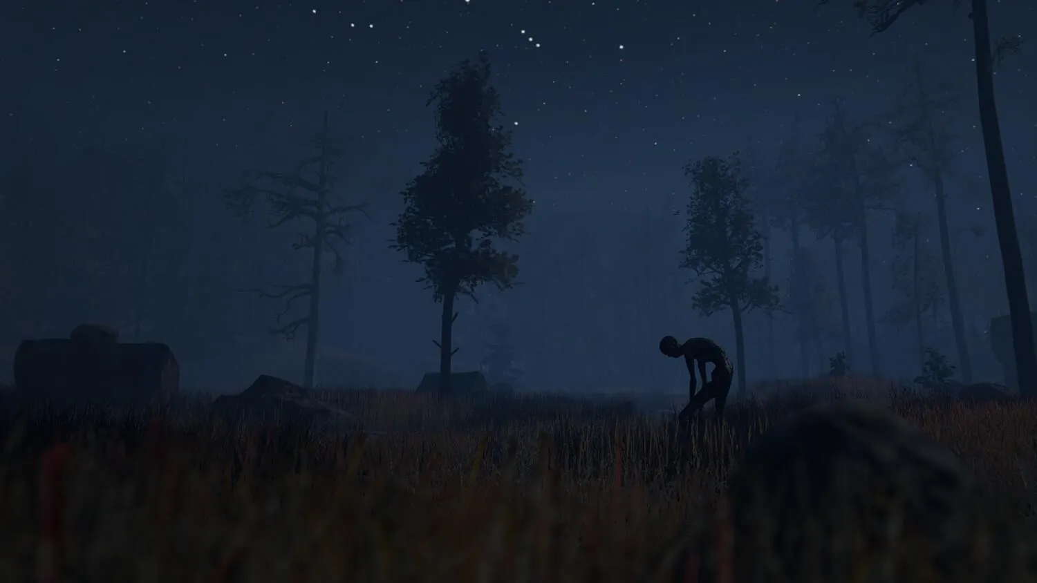 Durch den Wald (PC Steam Schlüssel / Global)