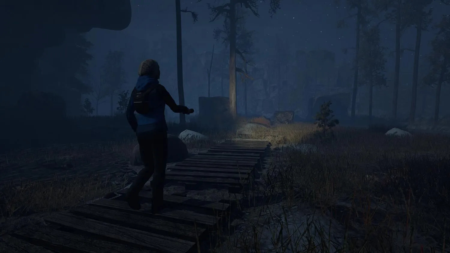Durch den Wald (PC Steam Schlüssel / Global)