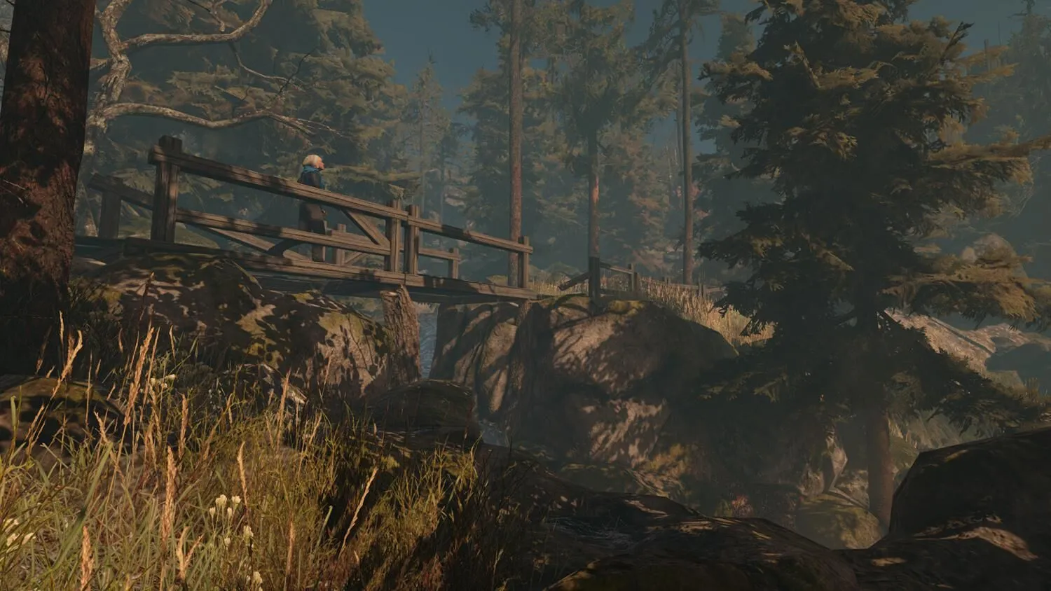 Durch den Wald (PC Steam Schlüssel / Global)