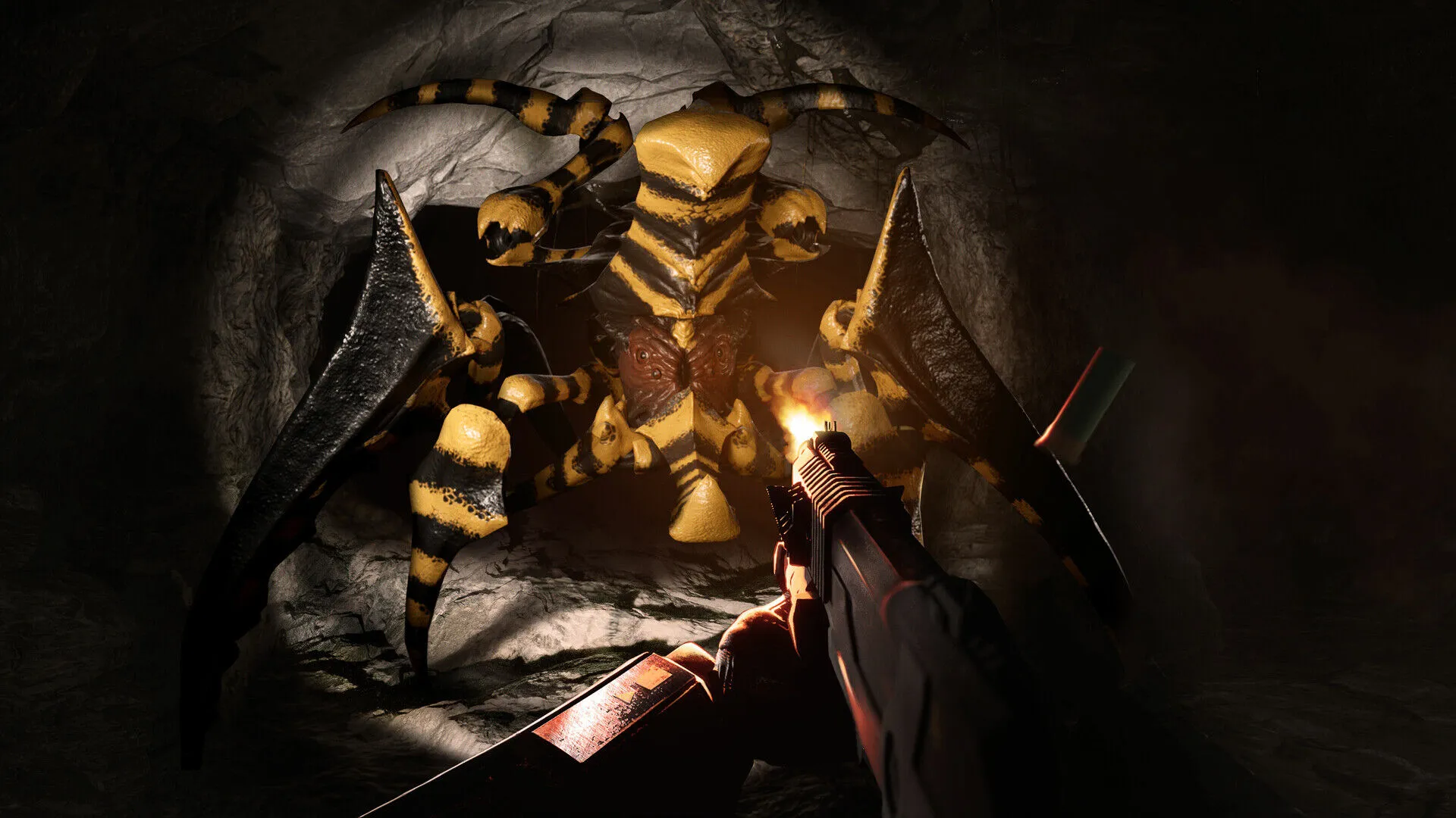 Starship Troopers: Extermination (PC Steam Key - Global)