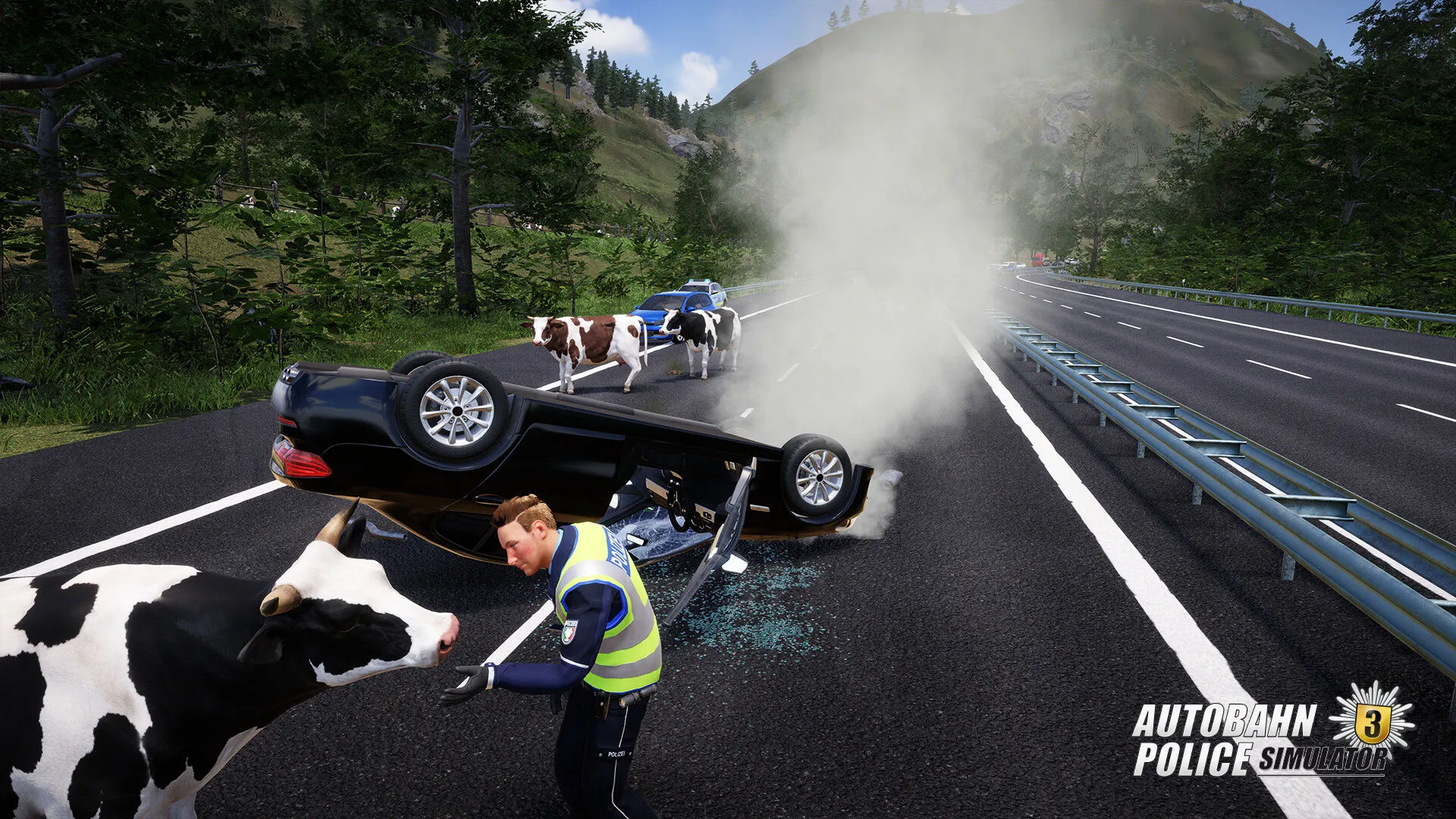 Autobahn Police Simulator 3 (PC Steam Key - Global)